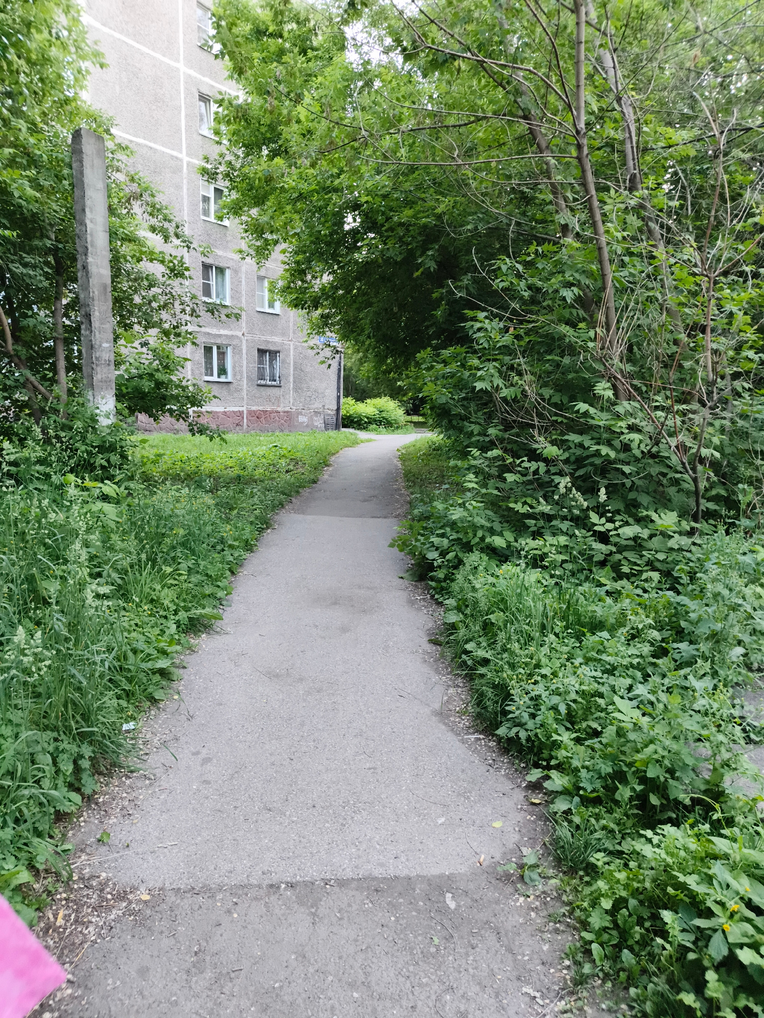 The image depicts a paved pathway leading away from the viewer, bordered by dense green foliage and trees on both sides. To the left, a grey, multi-story apartment building with a grid of white lines on its facade is visible, peeking through the trees. The building has multiple windows, some with white frames, others with darker frames. A rough, grey concrete pillar stands near the building, partially obscured by greenery. The pathway is made of asphalt and appears well-worn. The vegetation is lush and overgrown, suggesting a natural or semi-natural environment, possibly a park or residential area with abundant plant life. The time of day appears to be daylight, with overcast or diffused lighting. The overall scene is peaceful and perhaps a bit wild due to the overgrown greenery. No people are visible in the image. The location context is Novokuznetsk, Russia.