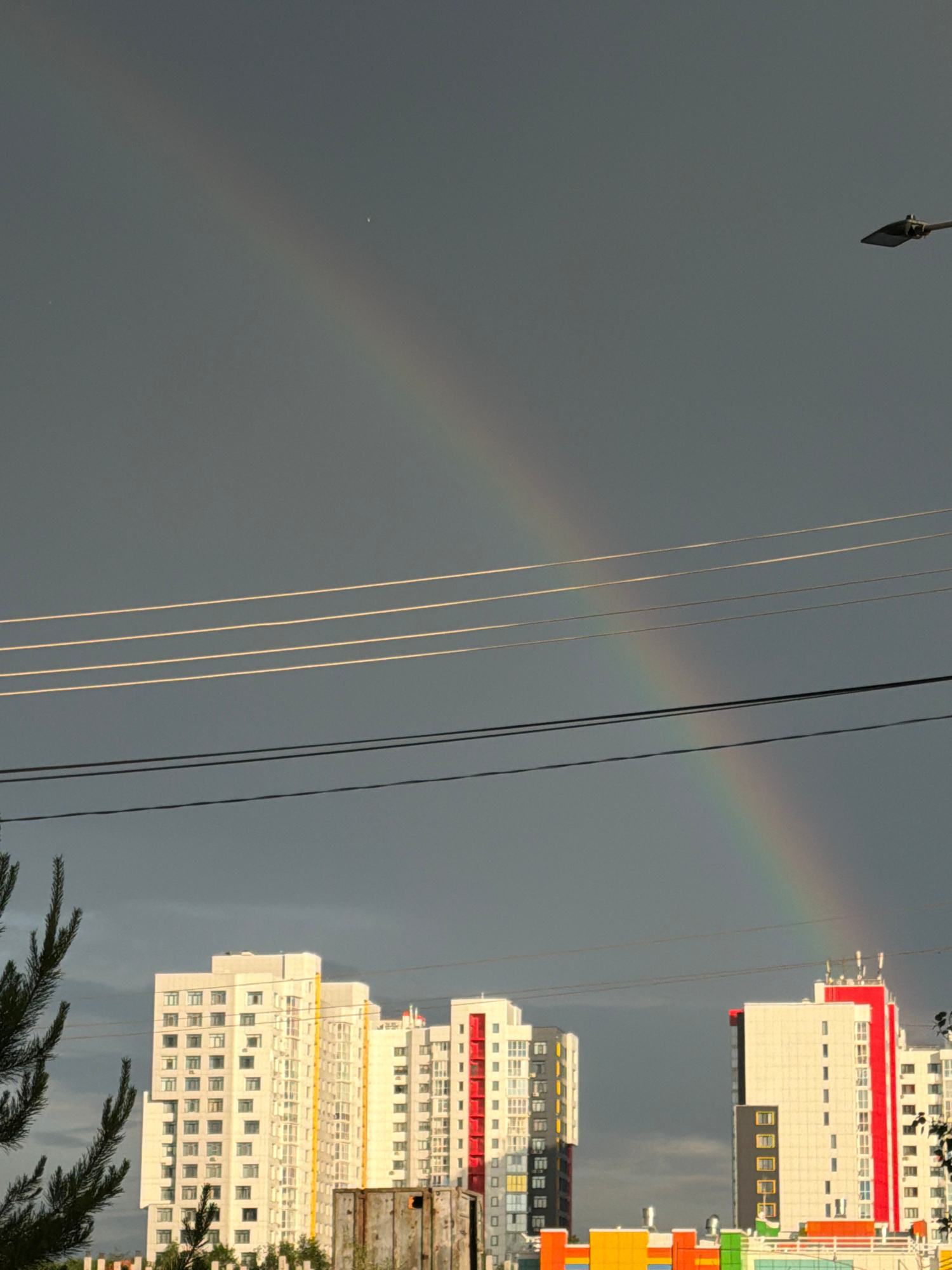 A wide-angle, slightly upward-facing shot captures a dramatic sky dominated by a dark, overcast cloud layer. A faint rainbow arcs across the upper portion of the frame, its colors muted against the somber backdrop. In the foreground, a dark green pine tree branch extends from the left edge of the image, partially obscuring a cluster of modern, multi-story buildings. These buildings are primarily white with colorful accents, including red and yellow sections, and appear to be apartment complexes. Utility wires crisscross the sky horizontally in the mid-ground, and a street lamp is visible on the upper right. The overall impression is of an urban landscape under a recent or impending storm, with a fleeting display of nature's beauty.