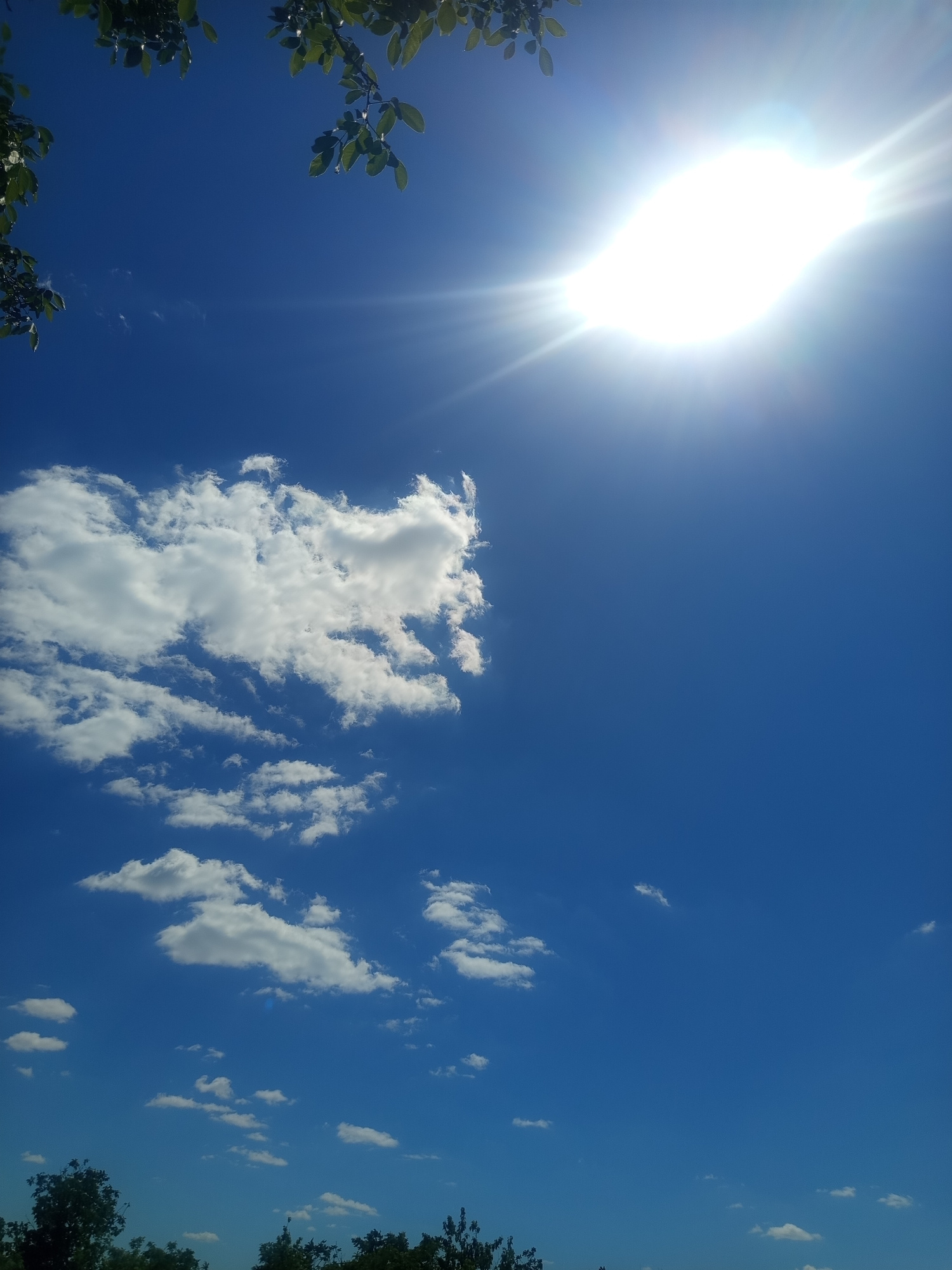 A bright, sunlit sky dominates the frame, with the sun positioned in the upper right quadrant, emitting strong rays that create a lens flare effect. A cluster of white, fluffy clouds is visible in the middle left of the image, with smaller scattered clouds appearing lower in the sky. The bottom of the image shows the silhouettes of dark green trees and foliage, suggesting a landscape or park setting. The scene is peaceful and natural, with no people or man-made structures clearly visible.