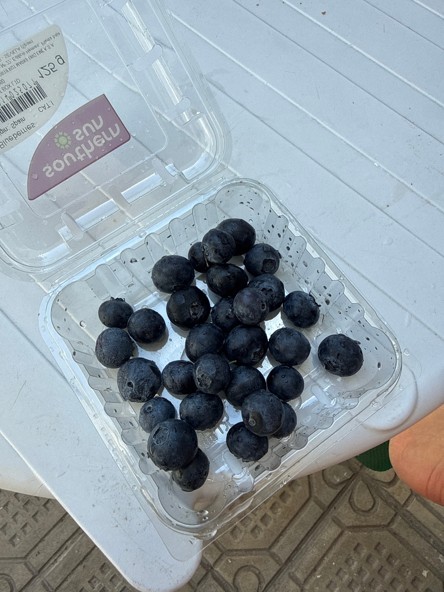 A clear plastic clamshell container holds approximately 30 fresh blueberries. The container is open, with the lid partially covering the bottom half, which is filled with the berries. The blueberries are dark blue and appear slightly wet, suggesting they may have been recently washed. The container is resting on a white, slatted surface, likely a table or outdoor furniture. In the background, the ground appears to be paved with hexagonal tiles. A portion of a sticker with Hebrew text and a floral design is visible on the left side of the container lid. The scene is illuminated by natural light. The location is indicated as Tel Aviv, Israel, by the text on the sticker which reads "2017" and appears to be a brand or origin mark.