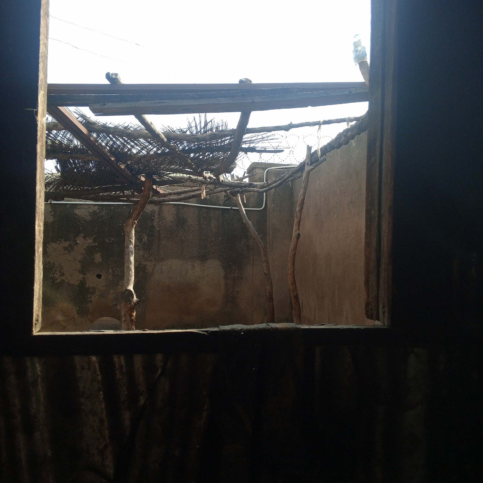 The image depicts a view from inside a dark structure looking out through a window or opening. The exterior scene shows a somewhat dilapidated courtyard or yard. A crude, overhead structure made of branches, wood, and what appears to be dried vegetation or palm fronds covers part of the area. This structure is supported by rough wooden posts. Behind the structure, a textured, weathered wall is visible. A white pipe runs horizontally along the top of this wall. In the background, beyond the wall and overhead structure, the sky is bright and overcast. A single plastic bottle is perched on a wooden support in the upper right portion of the frame. The foreground, viewed from inside, is dark and indistinct, with corrugated metal or a similar material visible at the bottom. The scene suggests an outdoor area in a rural or less developed urban setting. The image was taken in Zinna, Nigeria.