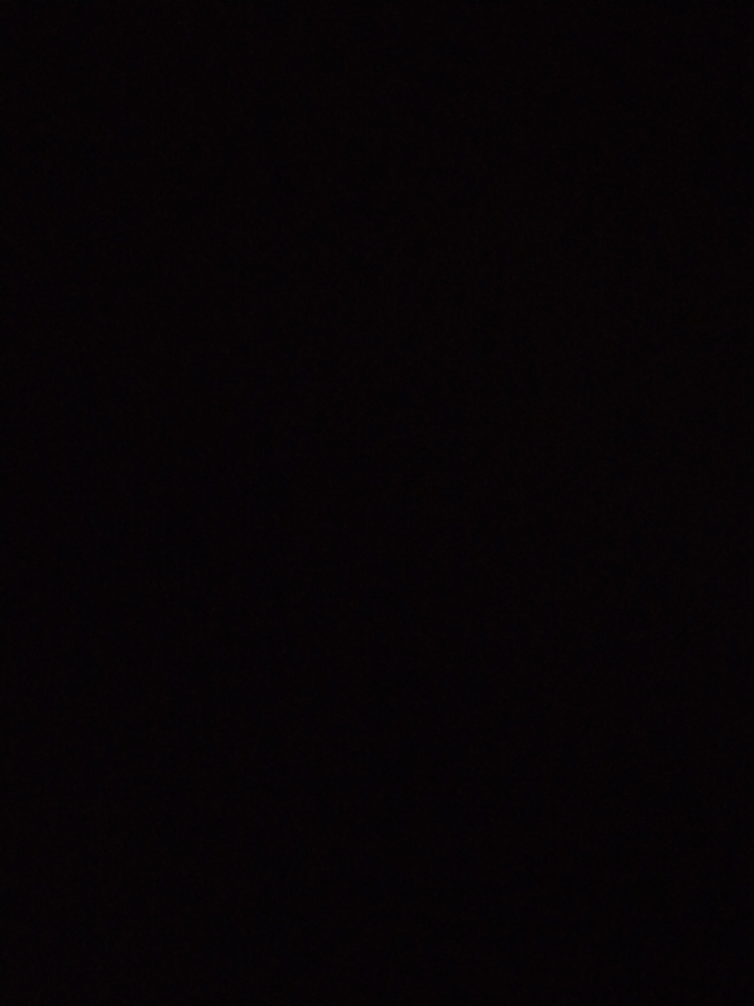 The media file is a solid black image. There are no discernible subjects, objects, activities, or events. No details related to time of day, weather, location, or emotions can be observed. Additionally, there is no visible text.