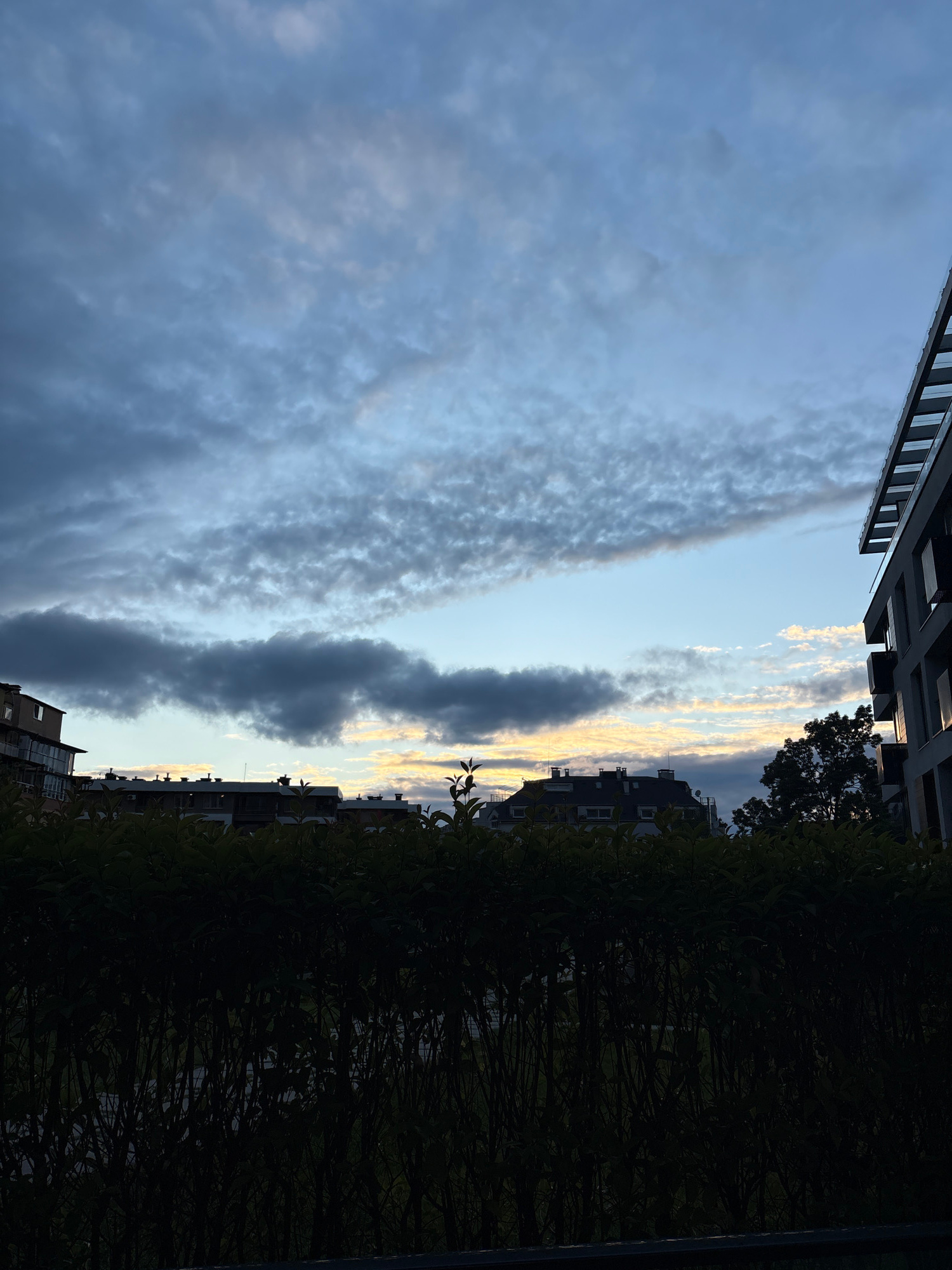The image depicts an urban landscape in Sofia, Bulgaria, framed by buildings and dense foliage, under a dynamic sky at either sunset or sunrise. The sky is the central focus, displaying a vibrant contrast between clear blue patches and extensive cloud formations. Long, textured, grey-white clouds stretch horizontally across the left and central parts of the sky. Towards the right and along the distant horizon, darker grey clouds are prominent, interspersed with patches of bright golden and yellow light, indicating the low position of the sun.
On the left side of the frame, a modern building with rectangular windows or balconies stands in silhouette, its dark facade contrasting with the lighter sky. The right side of the image is dominated by a thick mass of dark green foliage, likely hedges or trees, which obscures much of the urban skyline behind it. A distinct tree silhouette is also visible near the top right. Buildings are partially visible on the horizon line between the foliage and the sky.
The scene conveys a peaceful and atmospheric mood, characterized by the interplay of natural light and urban structures. There are no visible people, activities, or text.