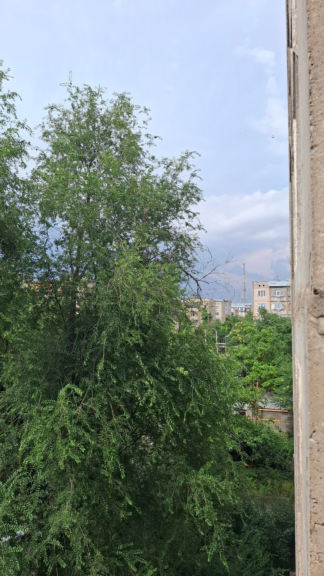 This is a medium shot taken from an elevated vantage point, possibly a window or balcony, looking outwards towards an urban landscape. In the foreground, a large, leafy green tree dominates the left side of the frame, its branches extending towards the center and obscuring parts of the background. To the right, a textured concrete wall runs vertically, framing the scene.
Beyond the tree, a cluster of apartment buildings and other structures are visible, suggesting a residential area within a city. One prominent structure is a tall, slender communications tower with antennas. The sky is overcast with grey clouds interspersed with patches of lighter blue, indicating a partly cloudy day. The overall scene depicts a typical urban environment with a blend of nature and built structures.
The image is consistent with a view from a residential building in the city of Shymkent, Kazakhstan. The architectural style of the buildings and the presence of the communication tower are common in such urban settings. The dense foliage of the tree suggests a season with active plant growth, likely spring or summer. No people or specific activities are discernible in the image.