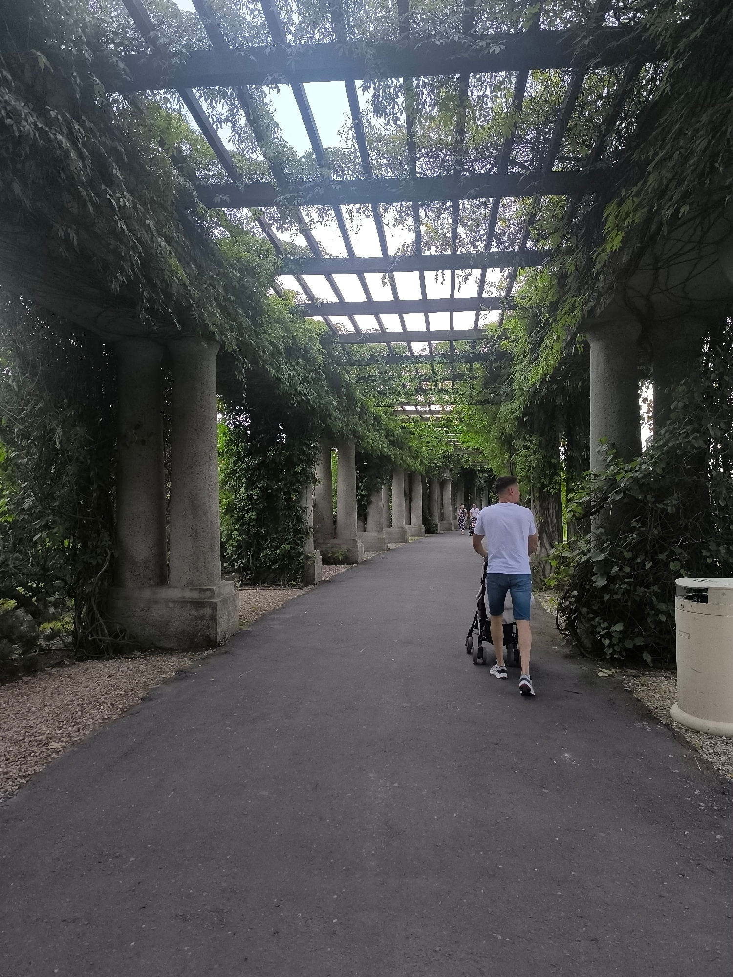 A man is pushing a stroller down a paved pathway lined with stone pillars and covered by a wooden pergola draped with ivy. The scene appears to be in the Szczytnicki Park in Wrocław, Poland, specifically the Pergola of the Centennial Hall. The man is wearing a white t-shirt and denim shorts. The pathway is bordered by gravel and lush greenery. A trash can is visible on the right side of the pathway. The sky is visible through the pergola's canopy.