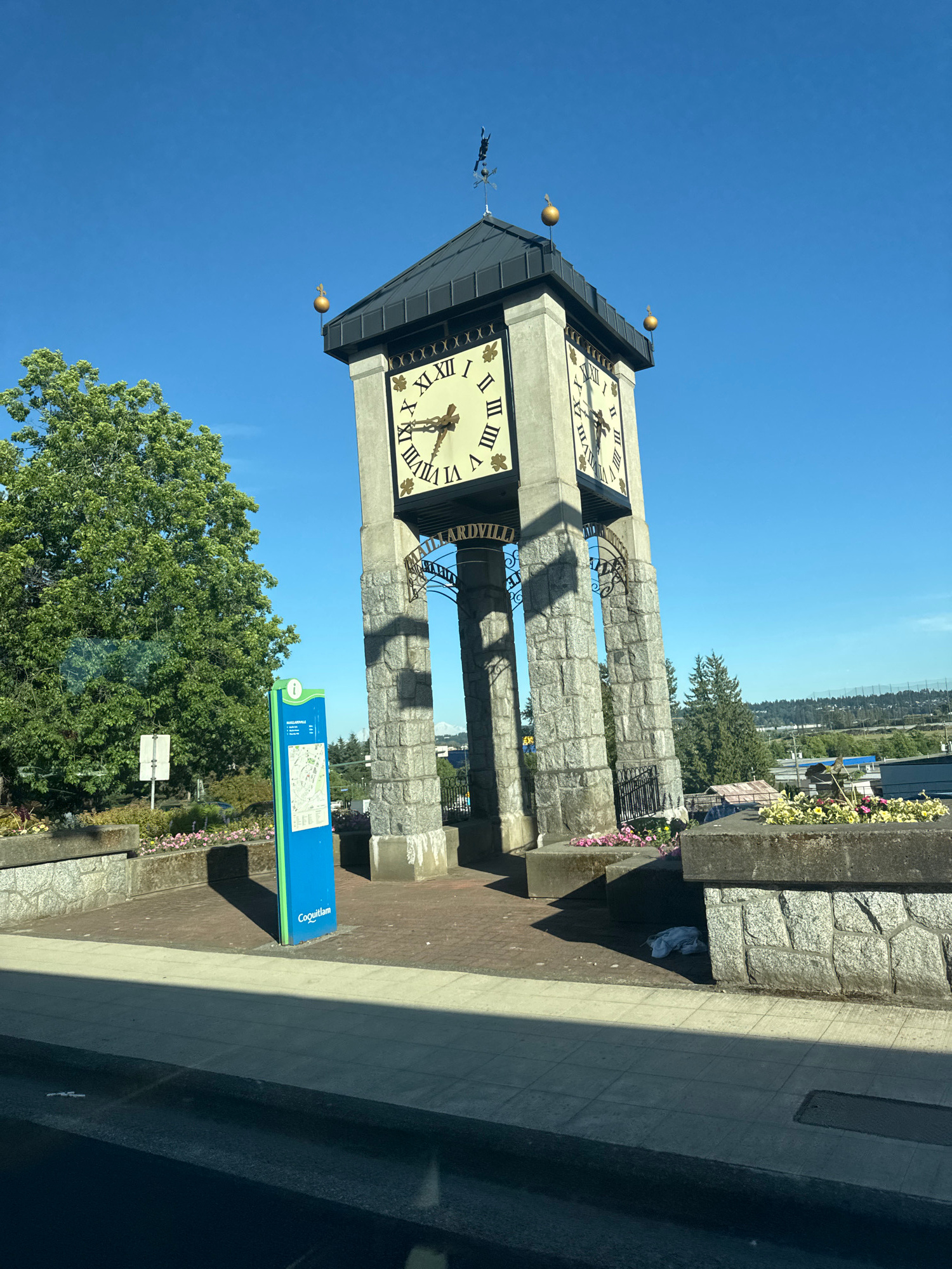 The image shows a clock tower in Coquitlam, Canada. The clock tower has four faces, each with Roman numerals and gold hands. Two faces are visible, one showing approximately 10:05 and the other approximately 10:10. The clock tower is made of stone and is topped with a dark roof and gold finials. In front of the clock tower is a blue information sign with a map and text that includes "Coquitlam". There is a large green tree to the left of the clock tower, and flower beds with pink and yellow flowers are visible around the base of the structure. The sky is clear and blue, indicating a sunny day. The scene appears to be a public space, possibly a park or town square.