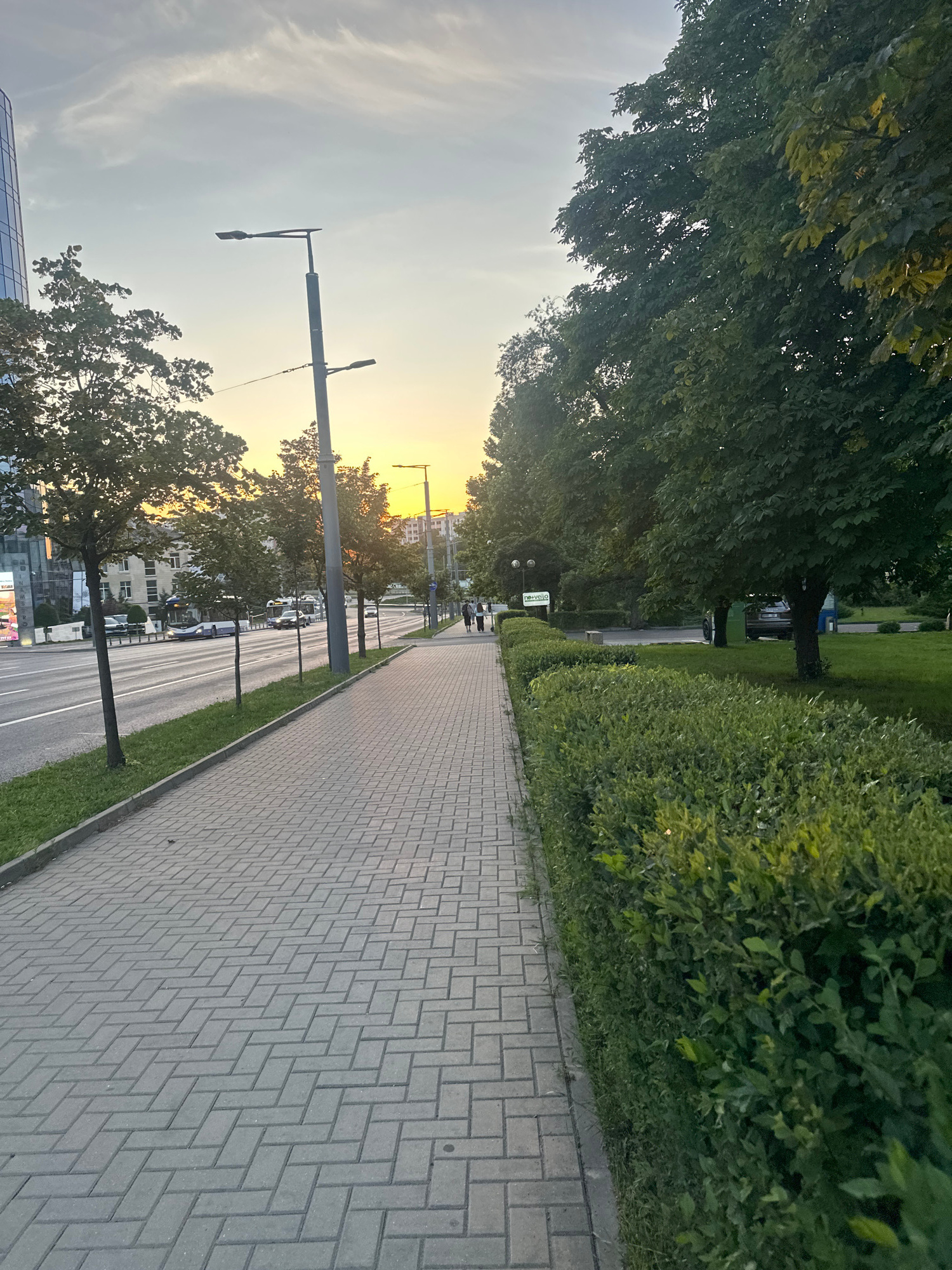 The image captures a pedestrian walkway paved with grey interlocking bricks, running alongside a road with several lanes of traffic. A well-maintained, dense green hedge borders the walkway on the right. On the left side of the road, there are trees lining the sidewalk, with buildings and a tall glass-fronted structure visible in the background. The sky is partly cloudy with soft, golden light, indicating it is likely sunset or sunrise. Several streetlights are present along the walkway and road. Two buses and a few cars are seen on the road. In the distance, a few people are walking on the sidewalk. The scene appears to be an urban environment in Chișinău, Moldova, likely a commercial or main street area given the presence of modern buildings and public transportation.