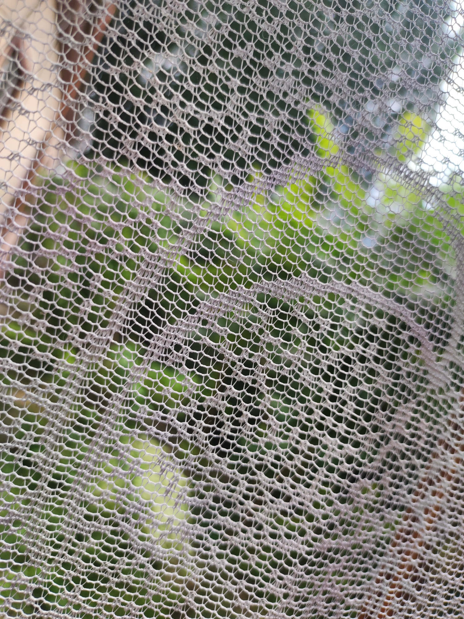 A close-up, abstract shot features a fine, hexagonal mesh net stretched taut, obscuring a background of blurred green foliage and hints of brown. The net, appearing to be made of a light-colored, possibly synthetic material, displays a regular pattern of openings that create a dappled visual effect. The lighting suggests an outdoor setting, possibly during the daytime. The image does not depict any specific location within the city of Eriktuu, Kyrgyzstan, nor does it contain any discernible people, actions, or interactions.