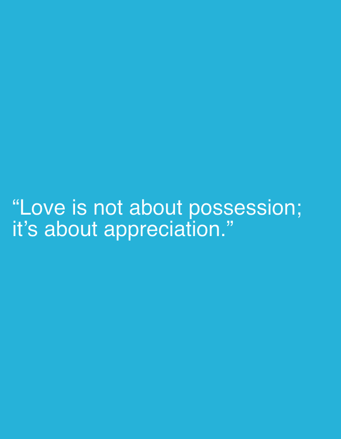 The image contains text on a solid teal background. The text, in a light grey sans-serif font, reads: "Love is not about possession; it's about appreciation." There is no discernible connection to Jalingo, Nigeria, or any urban environment in the image.