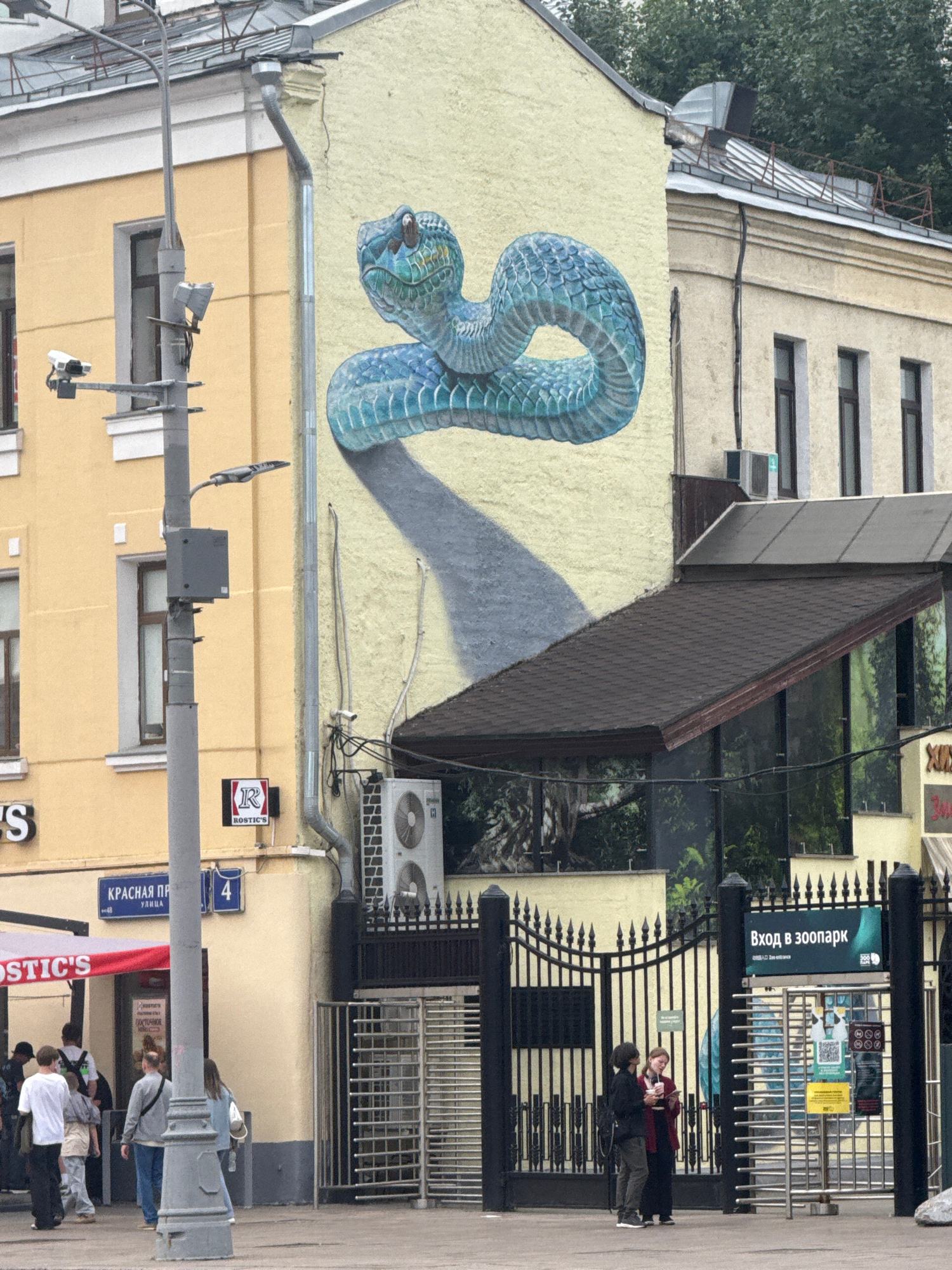 This image depicts a street scene in Moscow, Russia, likely during the daytime given the ambient light. The main focus is a building with a vibrant mural of a blue snake painted on its facade. The snake's coils dominate the wall, casting a stylized shadow.
In the background, a metal gate leads into what appears to be a zoo entrance, indicated by a sign with Russian text that translates to "Entrance to the Zoo." A few people are visible near the entrance, some interacting with each other. One person is sitting in a wheelchair, while another stands holding what looks like a book or phone.
The building itself has multiple stories with windows. Various objects are attached to the exterior walls, including air conditioning units, pipes, and electrical conduits. Street lights and traffic signals are also present, suggesting this is an urban environment. Signs with Russian text are visible, one reading "КРАСНАЯ ПР" (likely an abbreviation for Krasnaya Presnya, a district in Moscow) and another with the number "4". The overall atmosphere appears to be that of a normal day in a city, with people going about their business in front of a striking piece of street art. The weather seems overcast, judging by the soft, diffused lighting.