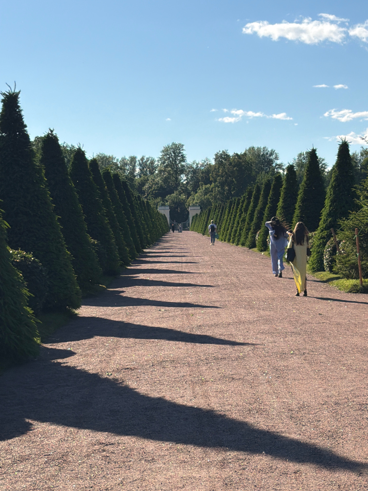 An image captures a tree-lined pathway with a gravel surface. The pathway stretches into the distance, creating a vanishing point. Two individuals are walking away from the camera on the path, while a third person is further ahead, also walking away. A symmetrical arrangement of tall, cone-shaped trees lines the left side of the pathway, casting long shadows onto the gravel. The right side of the pathway is also bordered by trees and foliage. The sky above is clear blue with a few white clouds, and sunlight illuminates the scene, creating distinct shadows. The environment appears to be a park or a formal garden setting.