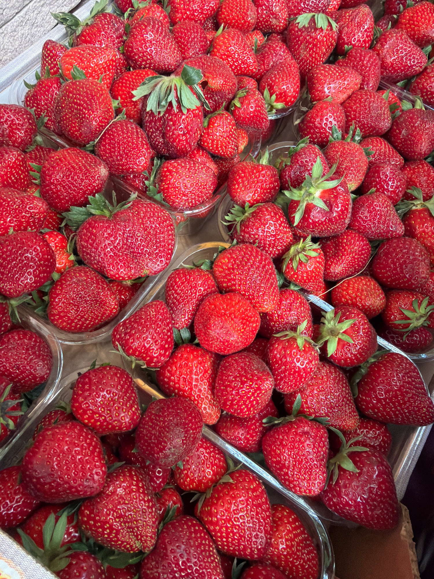 The image shows a close-up, overhead view of numerous ripe, red strawberries contained within clear plastic punnets. The strawberries are various sizes and shapes, with some exhibiting a glossy sheen. The background appears to be a light-colored, textured surface, possibly a countertop or a wall. The lighting is bright, highlighting the vibrant red color of the fruit and casting subtle shadows. There are no people or animals visible in the image. The scene is of a food market or grocery store, with the strawberries presented for sale. Without any specific visual cues, it is not possible to determine the exact location within the city of Sochi, Russia.