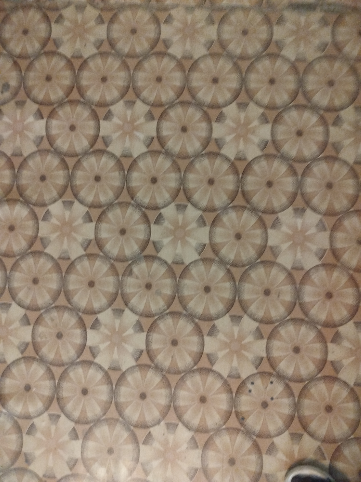 The image shows a tiled floor with a repeating circular pattern. The tiles are a light brown or beige color, and the circular pattern is a darker brown with lighter brown or beige spokes. The pattern appears to be a geometric design resembling a stylized flower or wheel. The floor is well-lit, and there are no discernible objects or people in the foreground or background. The image does not provide any information about its location in the city of Baku, Azerbaijan.