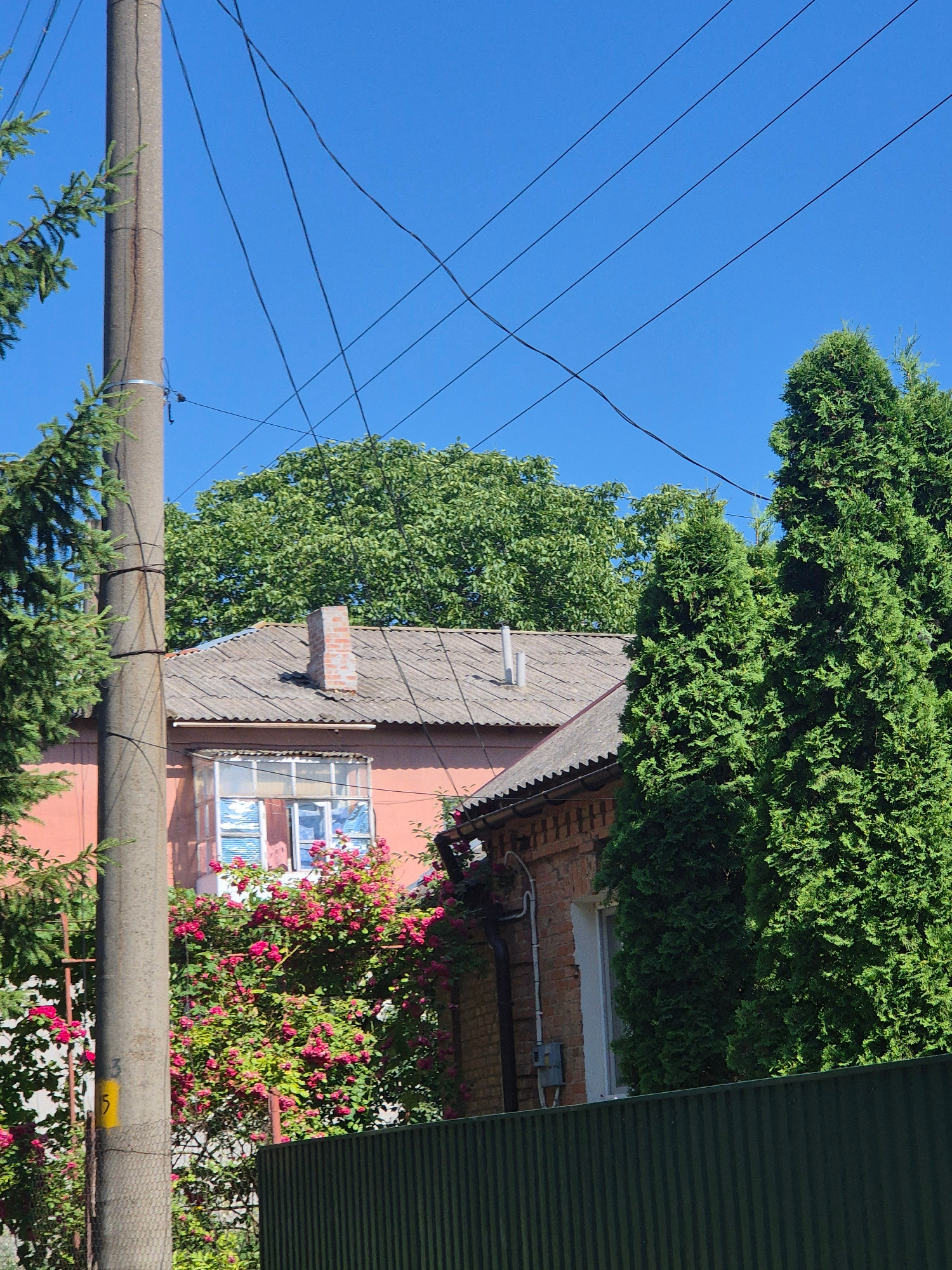 In Sozonivka, Ukraine, a clear blue sky forms the backdrop for a residential scene. A concrete utility pole, weathered and marked with a yellow numeral "3", stands prominently on the left, adorned with coiled wires and a clamp. Evergreen trees frame the scene, with dense foliage on the right and sparser branches on the left. Behind the pole, a pink building with a gray, corrugated roof and a brick chimney is visible. A window on this building is partially obscured by a vibrant bush covered in pink roses. Adjacent to this building, a smaller brick structure with a white-framed window and an exterior pipe system is partially visible. A dark green metal fence runs across the lower portion of the image, separating the foreground from the residential structures. The image captures a quiet, sunny day in a suburban or rural setting.