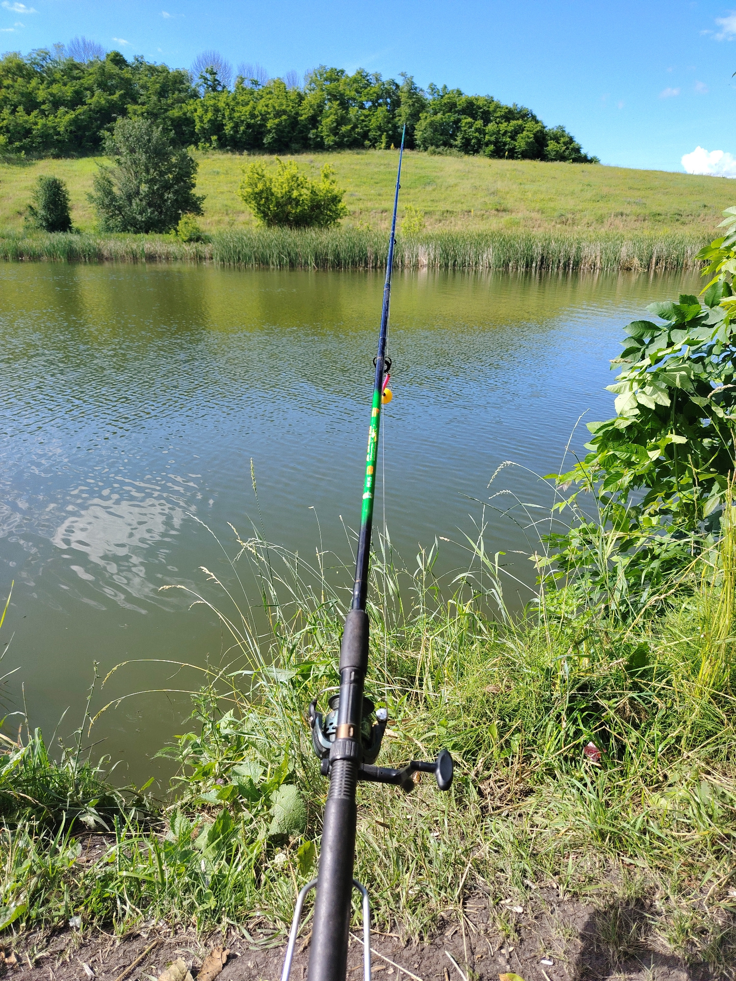 An eye-level, full shot captures a fishing rod standing upright on the grassy bank of a calm lake. The rod, predominantly dark gray with a green and white patterned section, is positioned in the foreground, angled slightly towards the water. Its reel is visible, and a small yellow bobber dangles from the line. The lake's surface reflects the bright blue sky and the lush green trees and rolling hills that form the backdrop. Tall reeds line the water's edge, and various grasses and plants grow densely on the bank. The scene is bathed in bright sunlight, creating a peaceful, outdoor atmosphere typical of a fishing spot. The location is identified as Ерик, Russia.