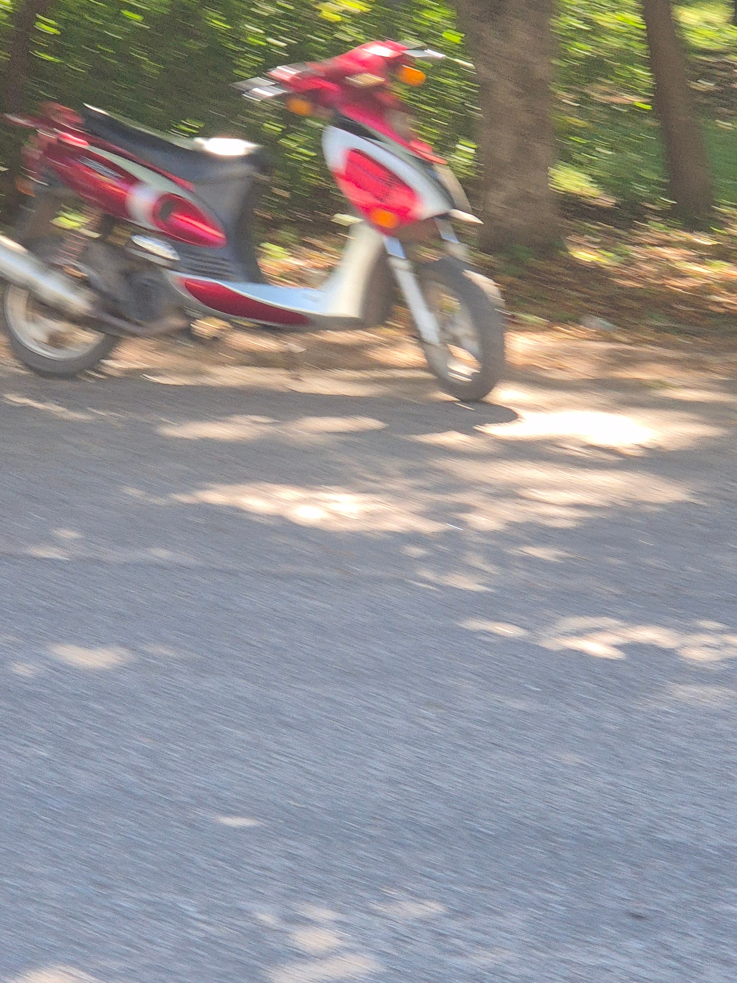 A red and white scooter is parked on the side of a road, with trees and foliage to its left and the road surface to its right. The image is taken at an angle, and there is motion blur throughout, suggesting the photo was taken while moving or with a fast-moving subject. Sunlight dapples the road surface, casting long shadows that create a striped pattern. The time of day appears to be afternoon or late afternoon due to the angle of the shadows. The weather seems to be clear and sunny. The scooter has a sporty design, with a prominent red fairing and white accents. The background of trees suggests a rural or semi-rural setting, consistent with the location context of Sozonivka, Ukraine. No text is visible in the image.