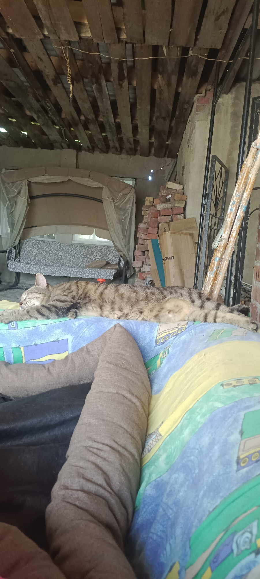 A tabby cat is sleeping stretched out on a colorful, patterned surface, possibly a couch or bed. The cat is lying on its side, with its eyes closed and its body relaxed. In the foreground, a person's legs, clad in gray leggings, are visible, also resting on the patterned surface. The scene appears to be outdoors or in a covered outdoor area, suggested by the rustic wooden ceiling beams and the stacked bricks visible in the background. A swing set with a canopy is present in the middle ground. The overall impression is one of a peaceful, relaxed moment. No specific time of day or weather conditions are discernible, but the setting appears somewhat cluttered and informal. There is no visible text.