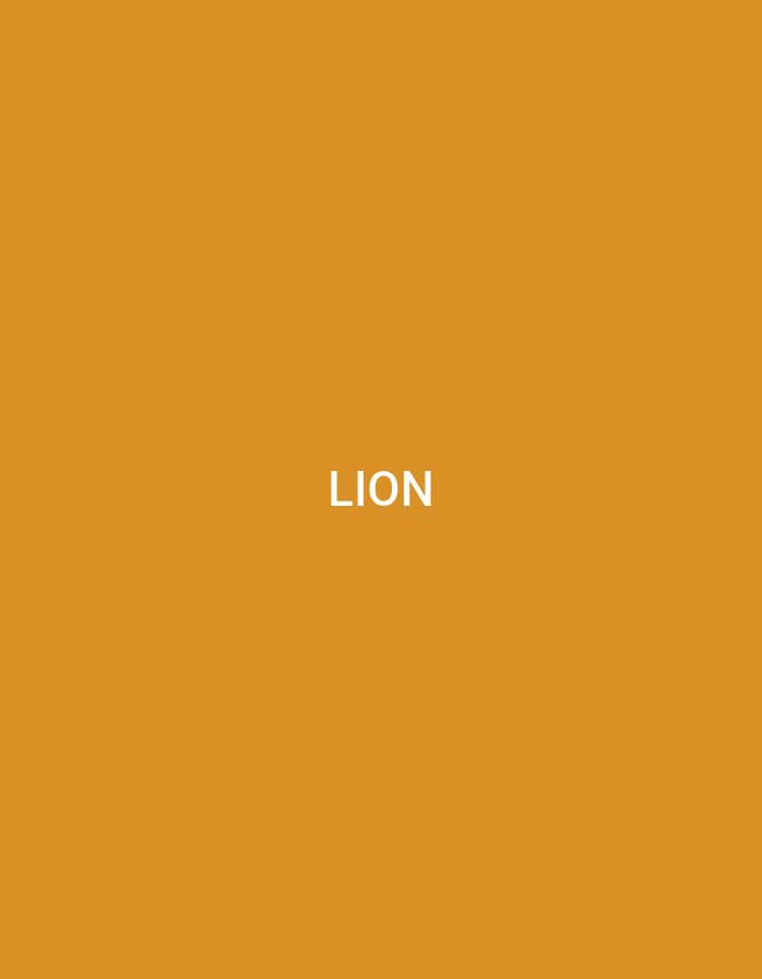 The image displays the word "LION" in white text against a solid, orange background. There is no discernible location in the city of Küçükçekmece, Turkey, or any people, subjects, objects, actions, interactions, or environmental details present in the image.