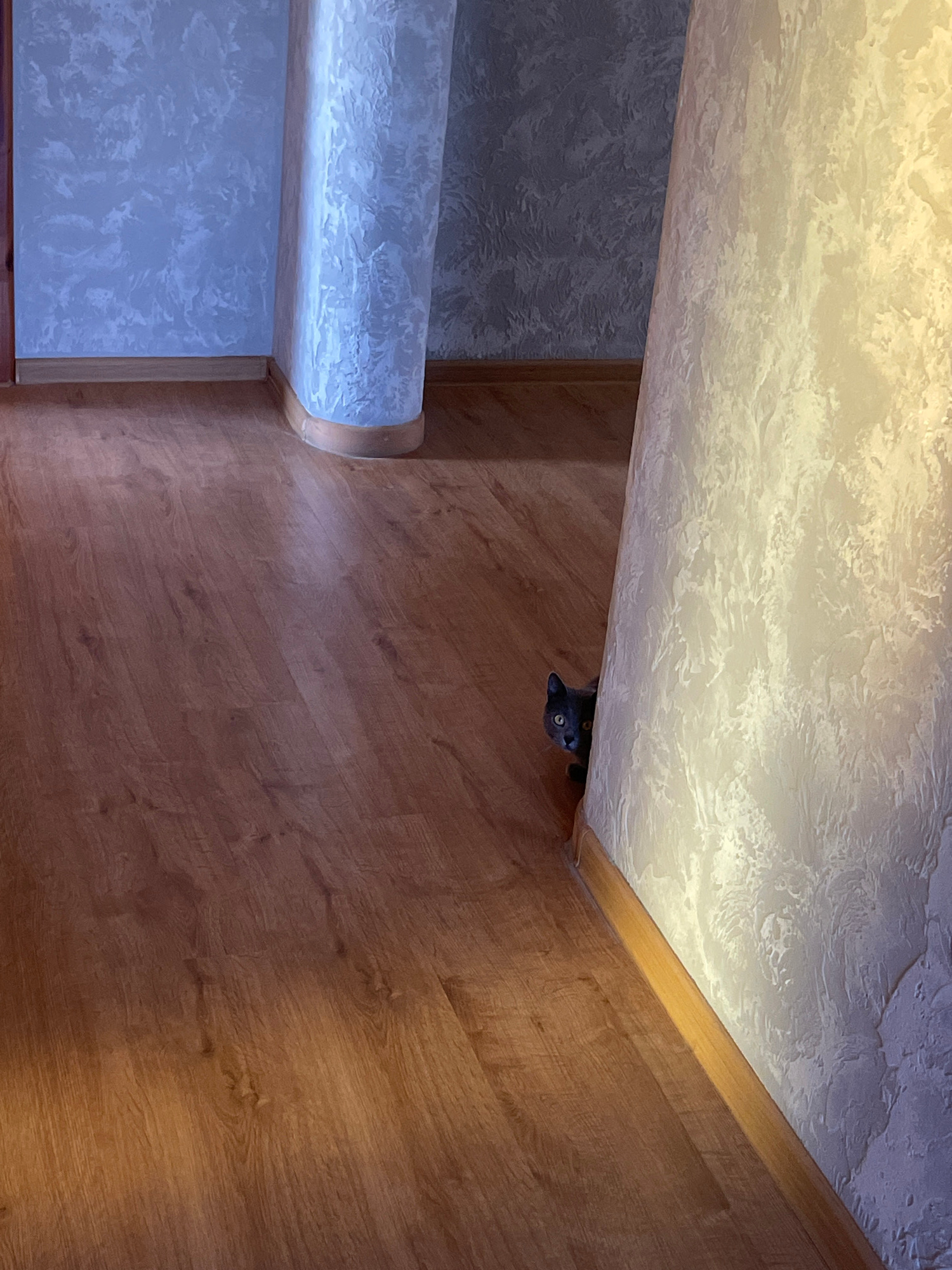 In this image, a curious grey cat peeks out from underneath a textured, light-colored ceiling. The cat's eyes are wide, and its ears are perked, suggesting it is observing something or someone. The setting appears to be indoors, with wooden paneling visible on the wall to the right. The ceiling has a textured, almost stucco-like finish, and is illuminated by a warm light, possibly from a hidden light source. Below the cat, a section of a wall or furniture is visible with a blue, textured pattern. The overall impression is one of a domestic setting where a playful or cautious cat is exploring its environment from a hidden vantage point. The lighting suggests it might be evening or a dimly lit room. No text is visible in the image.