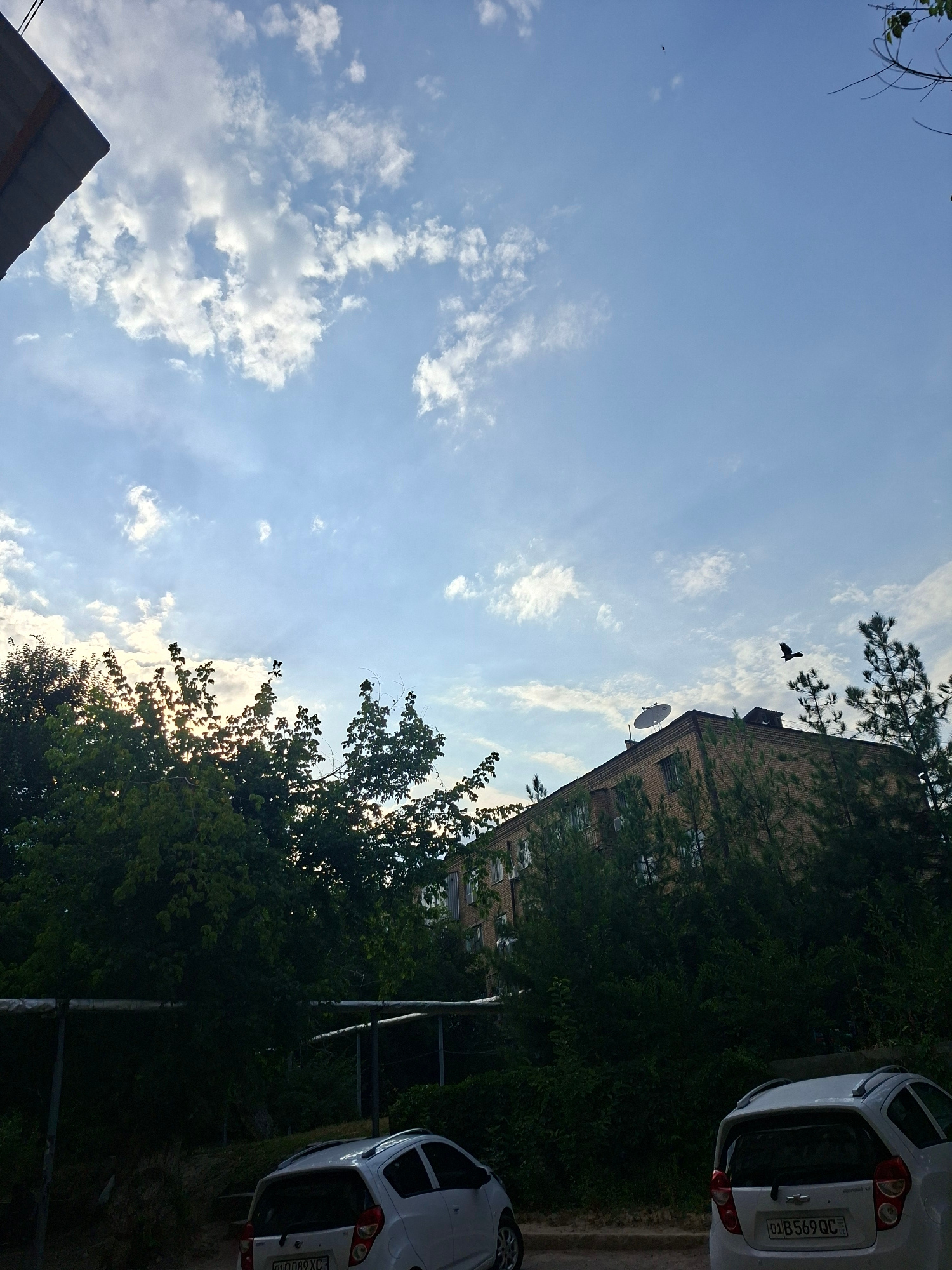 A city scene in Tashkent, Uzbekistan captures a building with a satellite dish on its roof and a bird in flight against a partly cloudy sky. Two white cars are parked in front of dense green trees. One car has a license plate reading "01 B 569 QC".