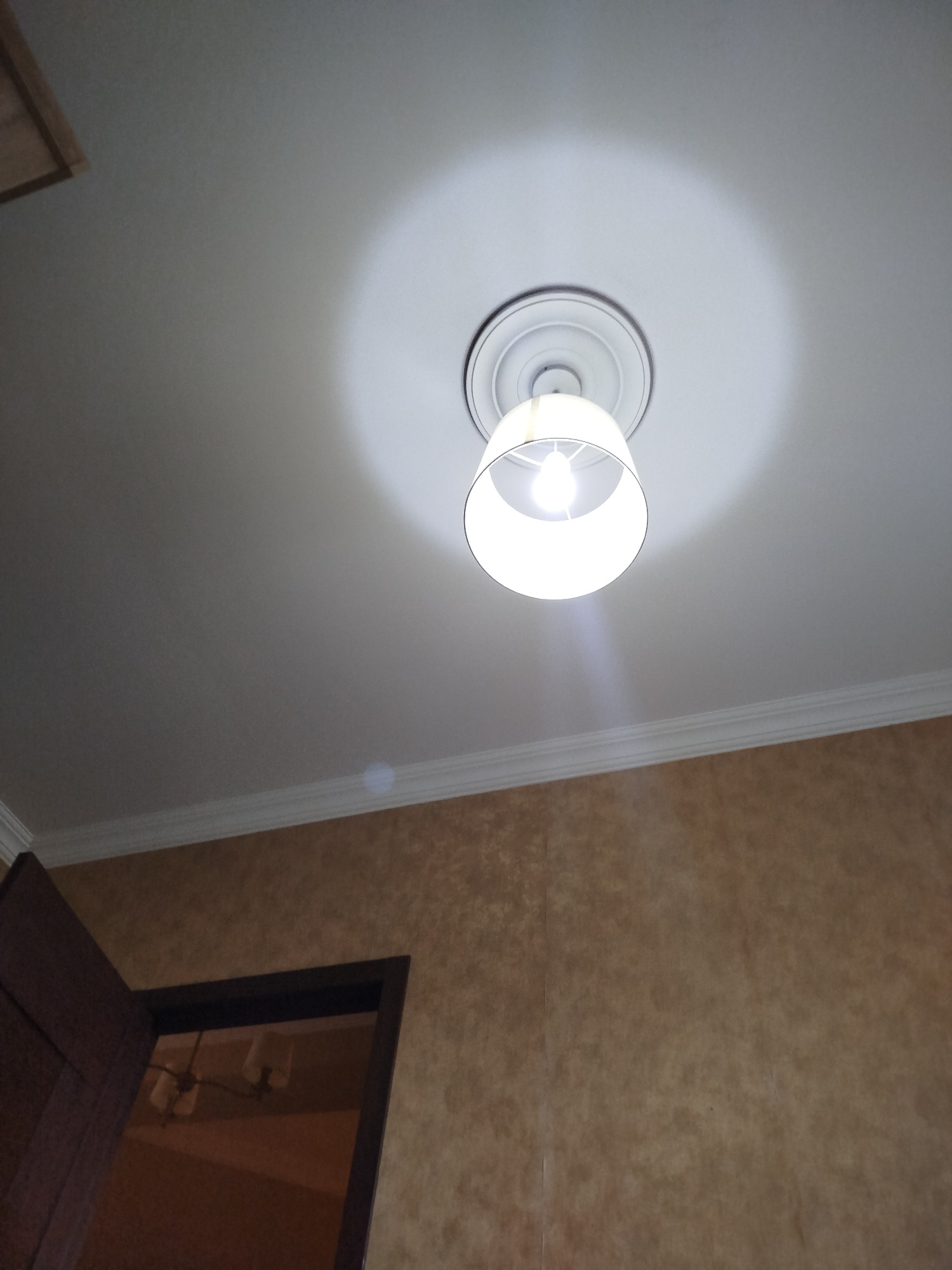 A single ceiling light fixture hangs from a white ceiling. The light fixture has a white drum shade and a decorative white ceiling plate. A bright light emanates from within the shade. Below the ceiling, there is a room with textured brown walls. On the left side of the image, a dark wooden door is partially open, revealing another room with a chandelier that has two visible shades. The scene is indoors, likely in a residential or commercial space.