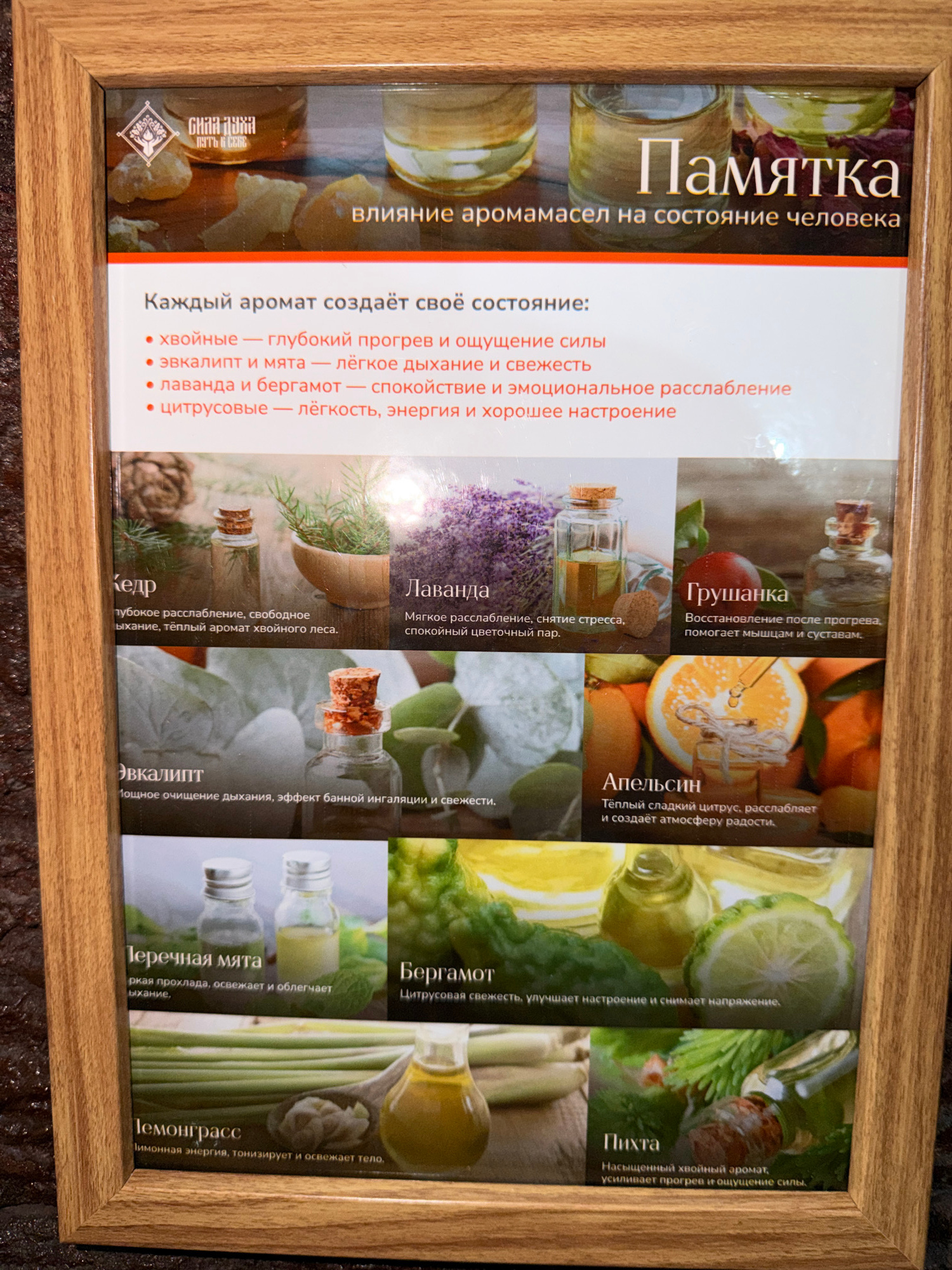 The image is a framed poster displaying information about aromatherapy oils and their effects on human well-being. The poster is divided into sections, each featuring a different essential oil with a corresponding image and a brief description in Russian. The title of the poster is "Памятка" (Memo) and it discusses the "влияние аромамасел на состояние человека" (the influence of aromatherapy oils on human condition). The poster is likely located indoors, possibly in a spa, wellness center, or a shop selling aromatherapy products. There is no indication of any specific location within the city of Bac Nha Trang Ward, Vietnam. The image focuses solely on the content of the poster.