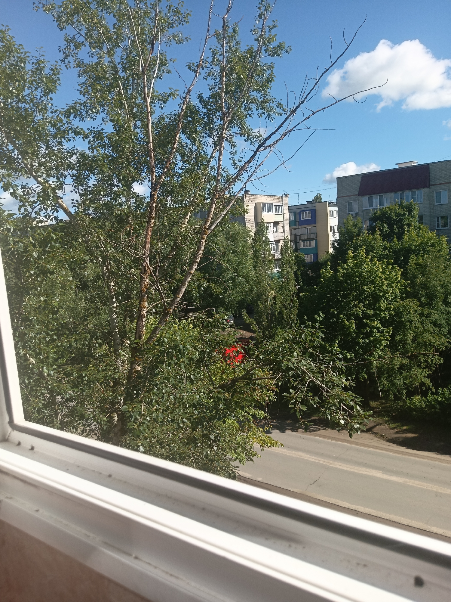 The image shows a view from a window looking out onto a street in Kuznetsk, Russia. In the foreground, there is a white window frame. Beyond the window, a paved street is visible with some cracked asphalt. The street is lined with trees with green foliage. In the background, several multi-story buildings can be seen. One building on the right has a dark red roof and brick facade, while another to the left is a lighter color with many windows. The sky is blue with scattered white clouds. There are no people or vehicles clearly visible in the scene.