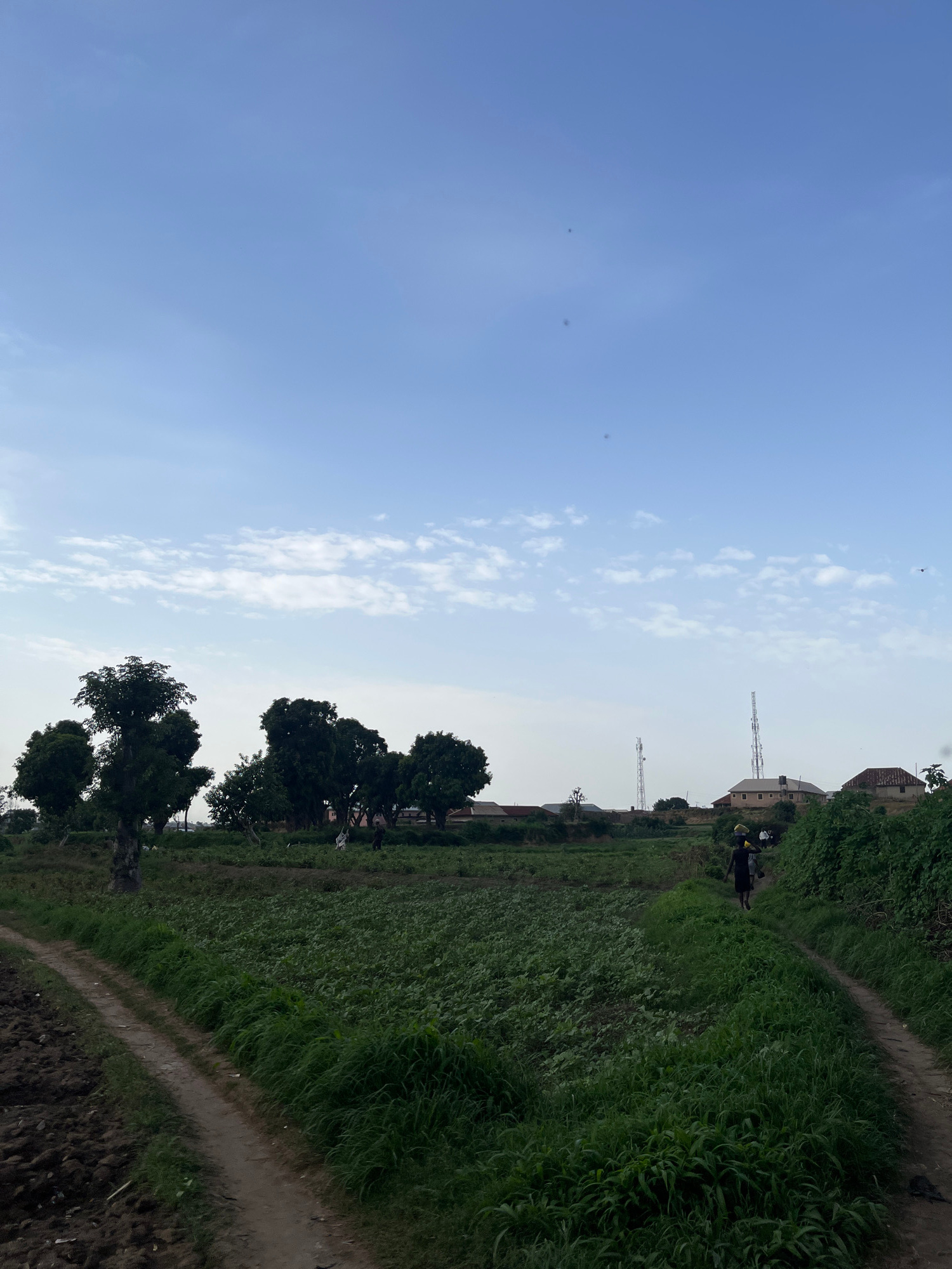 The image depicts a rural scene in Rafin Par, Nigeria, under a clear blue sky with scattered white clouds, suggesting it is daytime. The perspective is vertical, making it appear as if the viewer is looking up from ground level.
The foreground shows a dirt path winding through lush green vegetation, likely a field of crops or tall grass. To the left of the path, a row of trees with dense foliage stands silhouetted against the bright sky. In the background, beyond the vegetation, several buildings and communication towers are visible, indicating a settled area within the rural landscape.
On the path, two individuals are present. One is wearing a yellow head covering and appears to be carrying something, while another person in dark clothing stands nearby. Their presence suggests everyday activity or work in the area. The overall mood is peaceful and natural, with the vibrant green of the landscape contrasting with the expansive blue sky. The presence of communication towers hints at modernization within the otherwise traditional setting. No text is visible in the image.