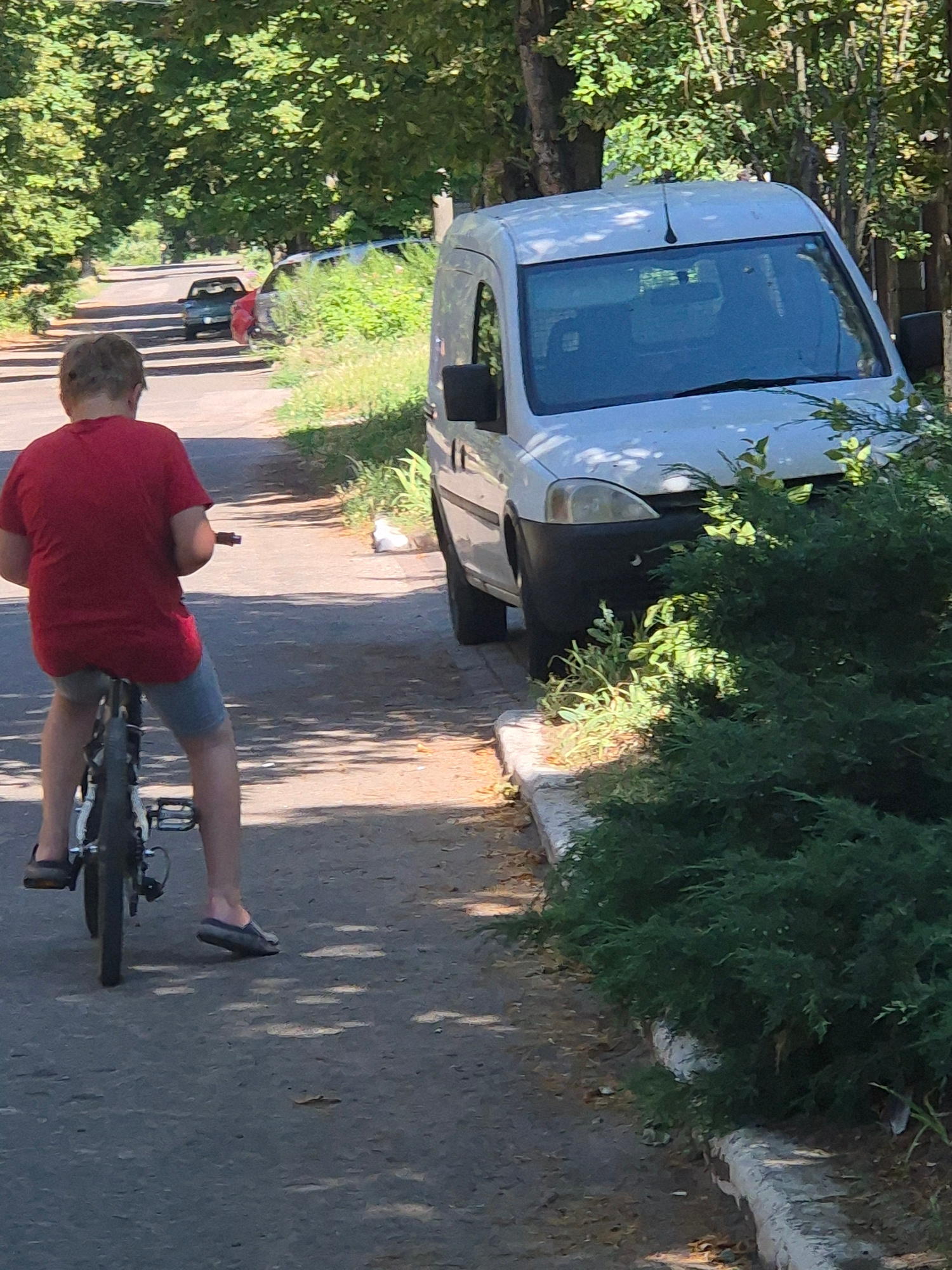 A young person wearing a red t-shirt and blue shorts rides a bicycle down a paved road lined with trees and bushes. A white van is parked on the right side of the road, partially obscured by a dense evergreen shrub. In the distance, another vehicle is visible parked on the left side of the road. The scene appears to be in a residential area, possibly in the village of Sozonivka, Ukraine, given the presence of trees, shrubs, and residential vehicles. The lighting suggests it is a sunny day.