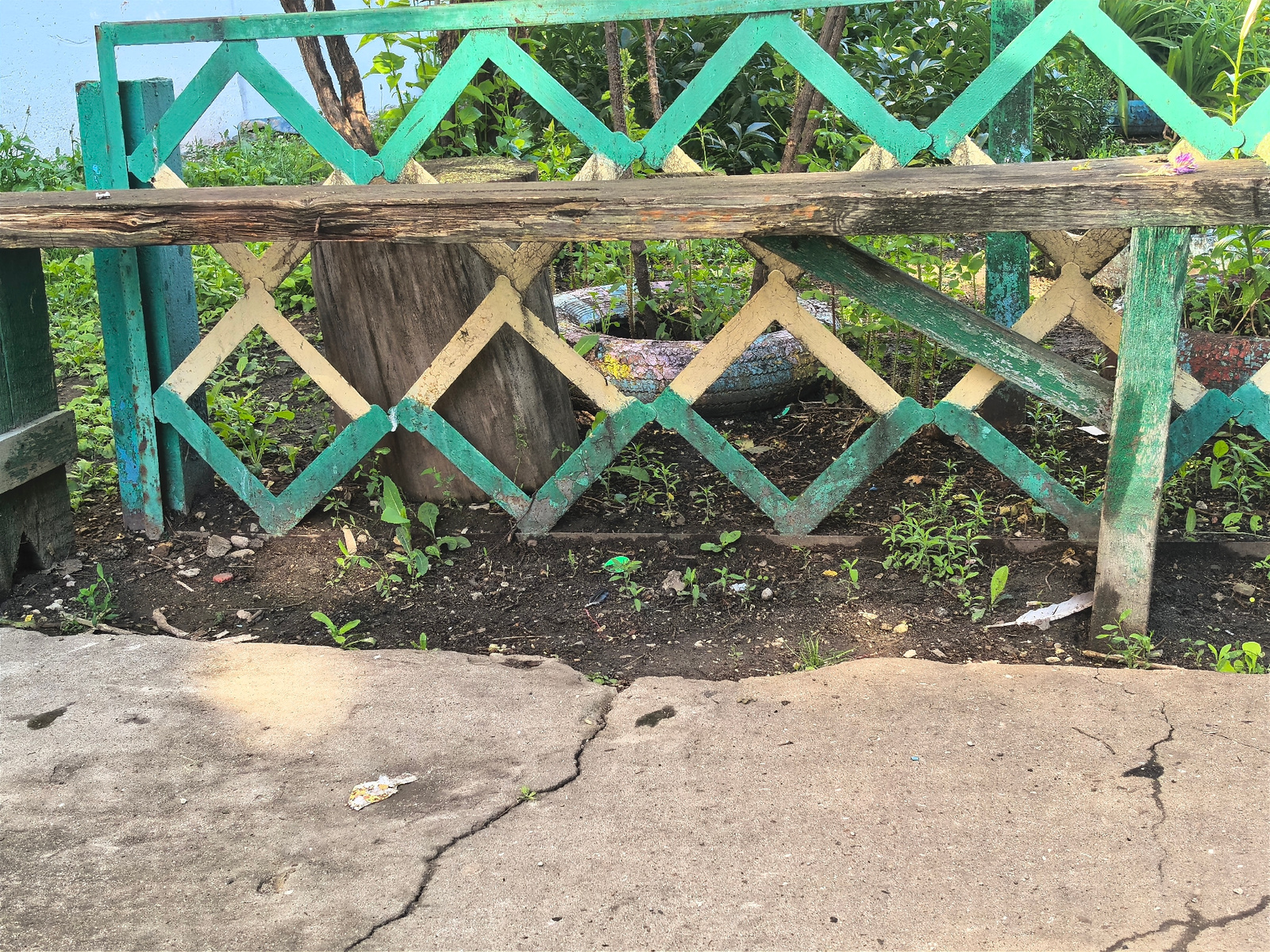 This image depicts a weathered, green and yellow diamond-patterned wooden fence or railing, separating a patch of overgrown green plants and dark soil from a cracked concrete path in the foreground. The wooden beam across the top of the fence is worn and appears aged. Behind the fence, lush green foliage creates a dense backdrop, with some taller plants and tree trunks visible. In the soil, small green shoots are emerging, indicating recent growth or planting. Towards the right side of the image, a portion of an old tire, painted with colorful patterns, is visible amongst the plants, suggesting it might be used as a planter. The concrete path shows signs of wear and tear, with noticeable cracks and some scattered debris, including what looks like discarded wrappers. The lighting suggests it is daytime, with sunlight casting shadows and highlighting certain areas of the concrete. The overall impression is one of a somewhat neglected outdoor space, likely a garden or yard, in a rural or suburban setting, possibly in Vozrozhdeniye, Russia. No people or specific activities are evident, and no text is visible in the image.