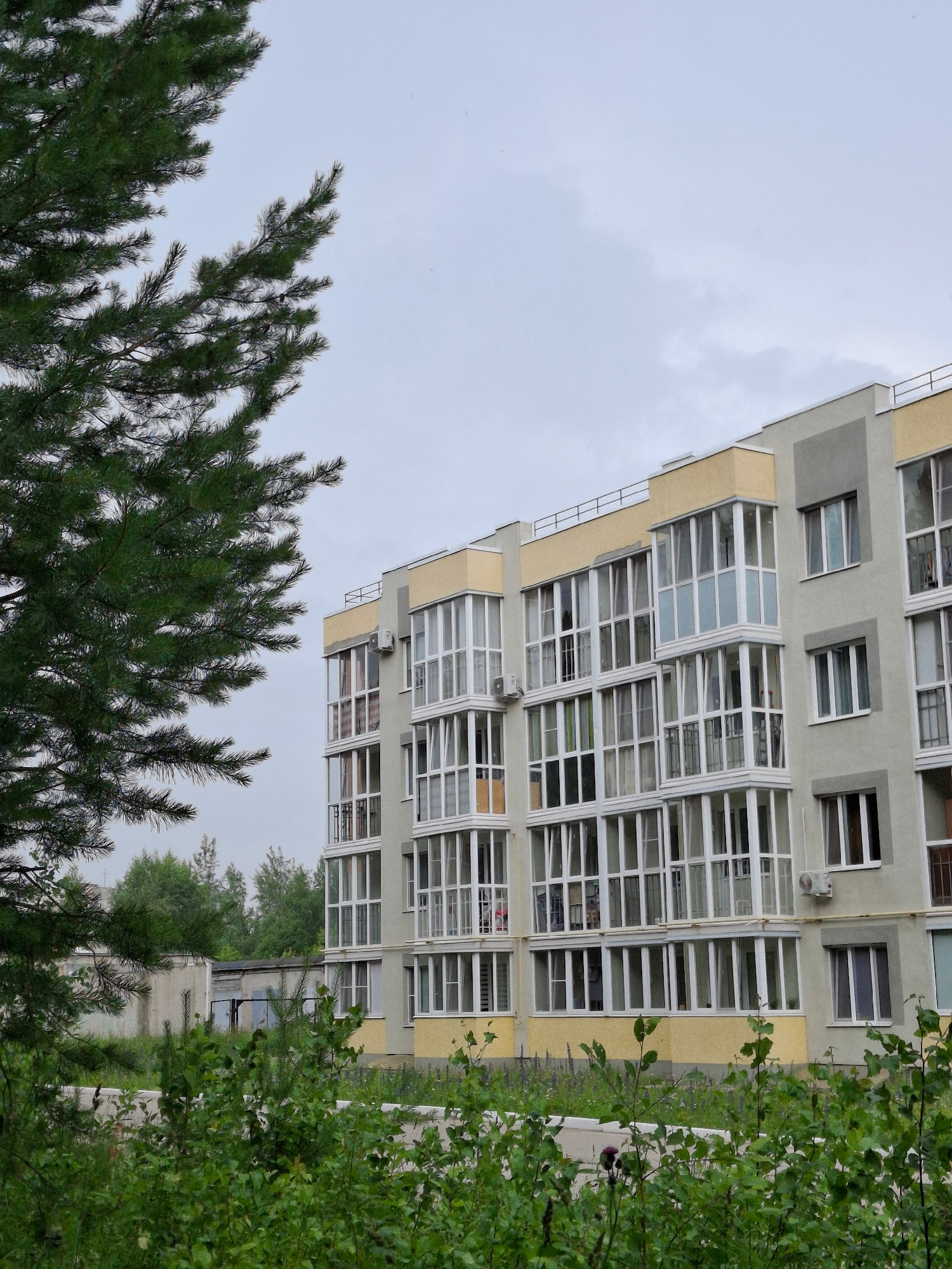 A multi-story apartment building with a beige and grey facade and numerous windows is visible against a cloudy sky. The building appears to be modern with balconies and a beige decorative element along the top. In the foreground, there are branches of pine trees and green leafy trees. The overall scene is outdoors, suggesting a residential setting in Chaikovsky, Russia. The weather appears overcast and possibly damp, as indicated by the grey sky and the slightly muted colors of the foliage. There are no people or specific activities clearly depicted, making it a still, observational shot of the building and its surroundings. The composition, with the building occupying the upper right and the trees in the lower left and right, creates a natural framing effect.