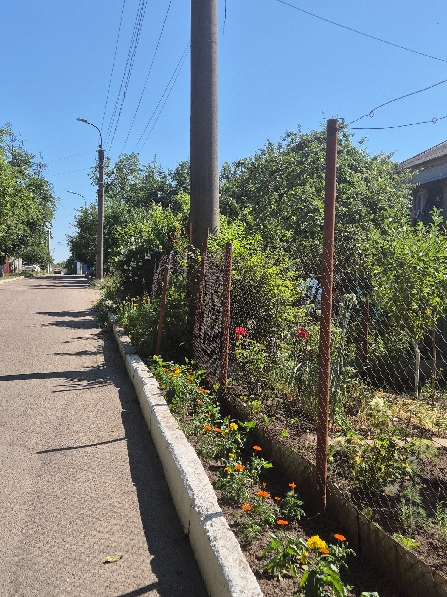 This is a medium-shot, landscape-oriented photograph of a street scene in Sozonivka, Ukraine. The image is taken on a clear, sunny day, likely in the late morning or early afternoon, as indicated by the strong shadows cast on the asphalt road. The setting is a residential area, with a chain-link fence bordering a flowerbed filled with blooming orange and yellow flowers. Behind the fence, lush green foliage and trees create a dense backdrop. A weathered, rusty metal pipe runs horizontally across the frame, supported by a wooden pole. Overhead, a tangle of electrical wires crisscrosses the bright blue sky. A streetlamp is visible in the distance, suggesting an urban or suburban environment. The road itself is paved and appears to be a typical street, with shadows of unseen objects or vegetation stretching across its surface. There are no people visible in the image. The overall mood is tranquil and ordinary, capturing a slice of everyday life in a Ukrainian village.