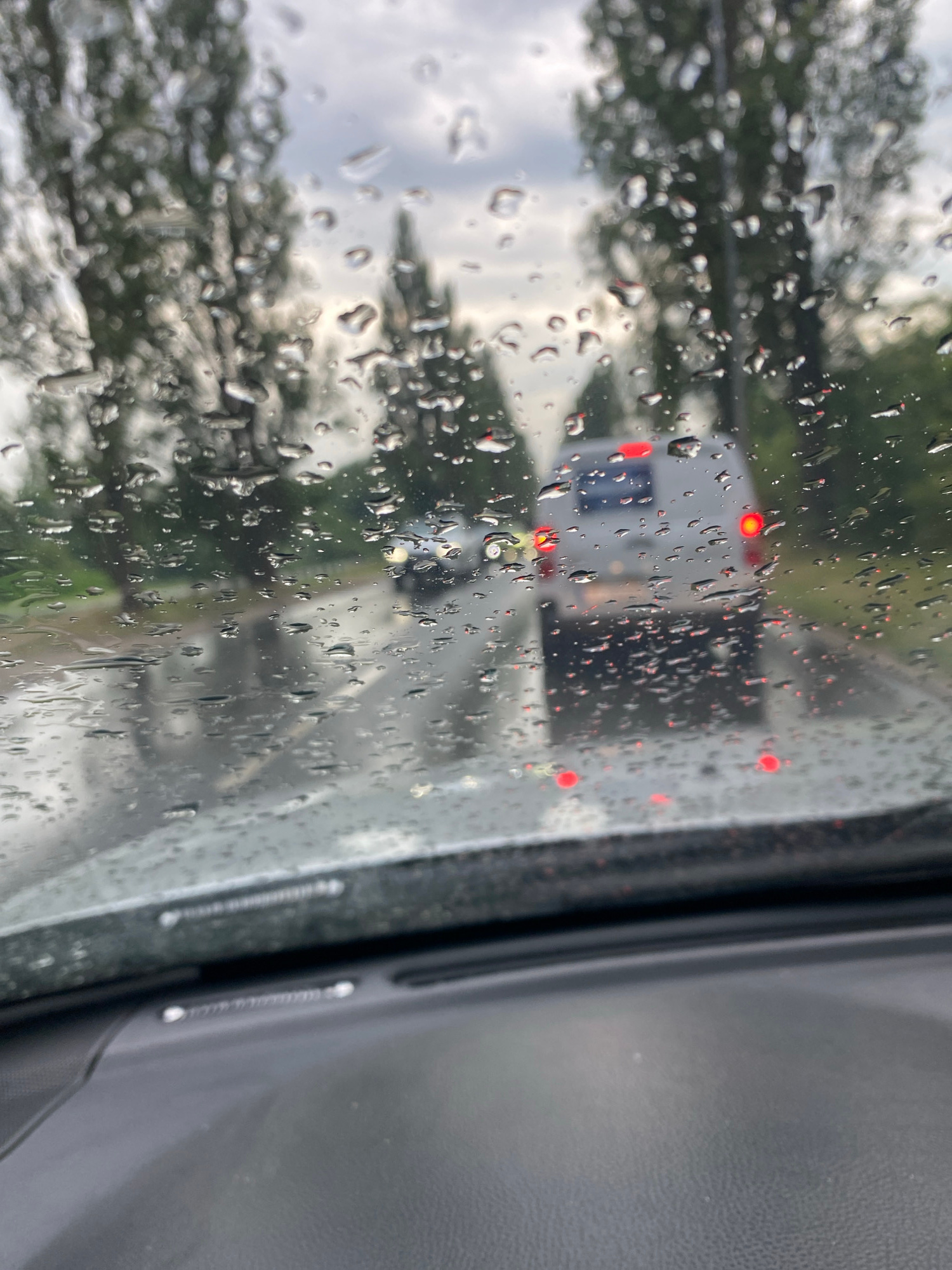 This media file captures a view from inside a vehicle looking out through a rain-streaked window. The primary subject visible through the raindrops is the rear of a white vehicle, likely a bus or ambulance, with red taillights illuminated. The vehicle appears to be in motion, suggesting a road scene. The weather is clearly rainy, with numerous water droplets distorting the view and creating a blurred, impressionistic effect.
Behind the white vehicle, the background consists of trees and foliage, indicating an outdoor setting. The sky appears overcast, consistent with rainy weather. The perspective suggests the image was taken from the passenger side of a car, with a portion of the car's interior, specifically a dark gray textured surface, visible on the right side of the frame.
The scene evokes a sense of travel during inclement weather. The rain droplets on the window are a dominant visual element, adding texture and obscuring details of the surrounding environment. The red lights of the vehicle ahead provide points of focus against the muted backdrop. There is no visible text in the image. The time of day is difficult to ascertain precisely due to the weather conditions and the indoor perspective, but the lighting suggests it could be daytime. The overall mood is one of transit and observation from within a sheltered space during a downpour.