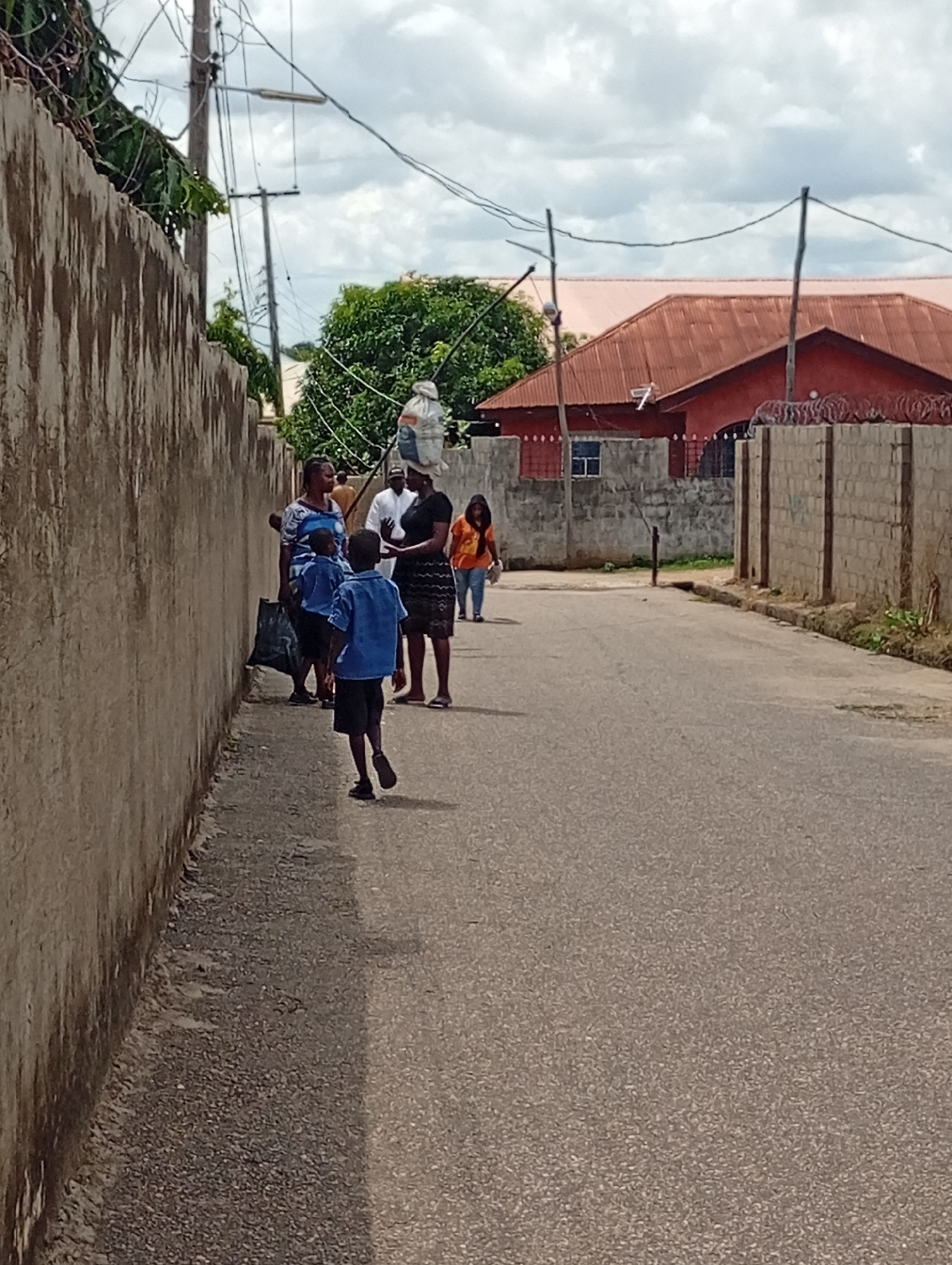 A group of people are on a paved street in Zango-ndaji, Nigeria. In the foreground, a young boy in a blue shirt and black shorts walks away from the camera. To his left, a woman in a blue and white patterned shirt stands next to a black plastic bag. To the right of the boy, a woman in a black top and patterned skirt is talking to another person, also in a black top. Further back, a man in a white shirt and a woman in an orange top are also visible. The woman in the black top appears to be carrying a large, white, plastic-wrapped bundle on her head.
The scene suggests an everyday street activity, possibly people going about their daily routines or errands. The weather appears to be overcast, with a cloudy sky. The houses in the background have red corrugated metal roofs and are enclosed by brick walls. The presence of electrical wires strung overhead is a common sight in many urban and semi-urban areas. The overall impression is one of a sunny day, despite the clouds, with people engaged in activity on the street. No visible text is present in the image.
