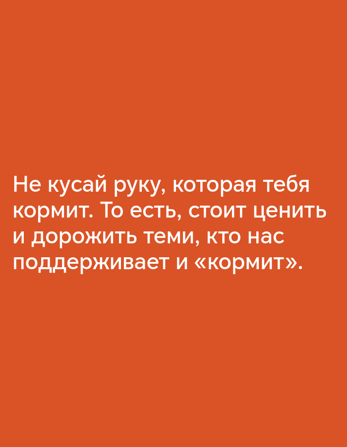 The image is a plain, orange background with white text centered on it. The text reads: "Не кусай руку, которая тебя кормит. То есть, стоит ценить и дорожить теми, кто нас поддерживает и «кормит»." This translates to: "Do not bite the hand that feeds you. That is, it is worth valuing and cherishing those who support and 'feed' us." There are no people, objects, or environmental features visible in the image, and no specific location in Bishkek City, Kyrgyzstan can be determined.