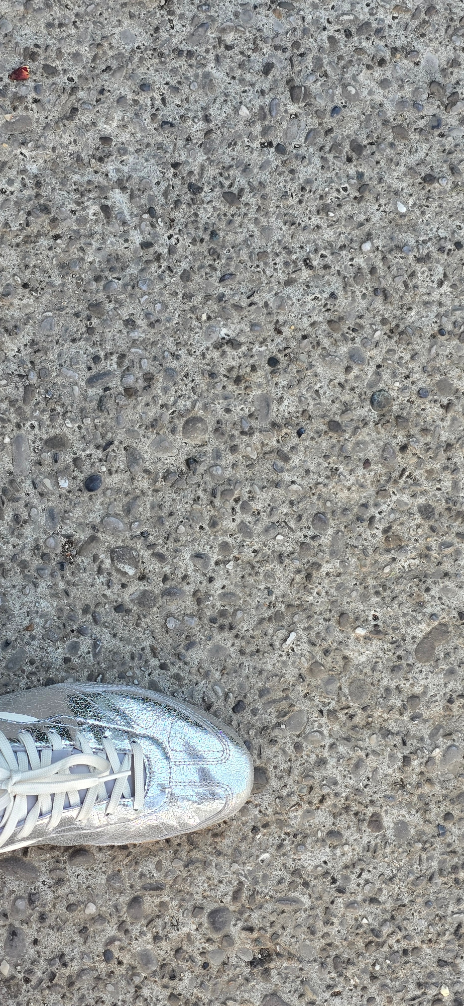 The image captures a close-up, overhead view of a silver, metallic-finish sneaker with white laces, placed on a grey asphalt surface composed of small, rounded pebbles. The sneaker occupies the lower left quadrant of the frame. The asphalt exhibits a rough texture with varying shades of grey and embedded stones of different sizes and colors, including dark grey, light grey, and some with white or light grey flecks. A small, reddish-brown object, possibly a fragment of debris, is visible on the asphalt in the upper left portion of the image. The lighting suggests an outdoor environment, likely during the daytime, casting subtle shadows. There is no indication of the specific location within Podgorica, Montenegro, as the image focuses solely on the footwear and ground texture.