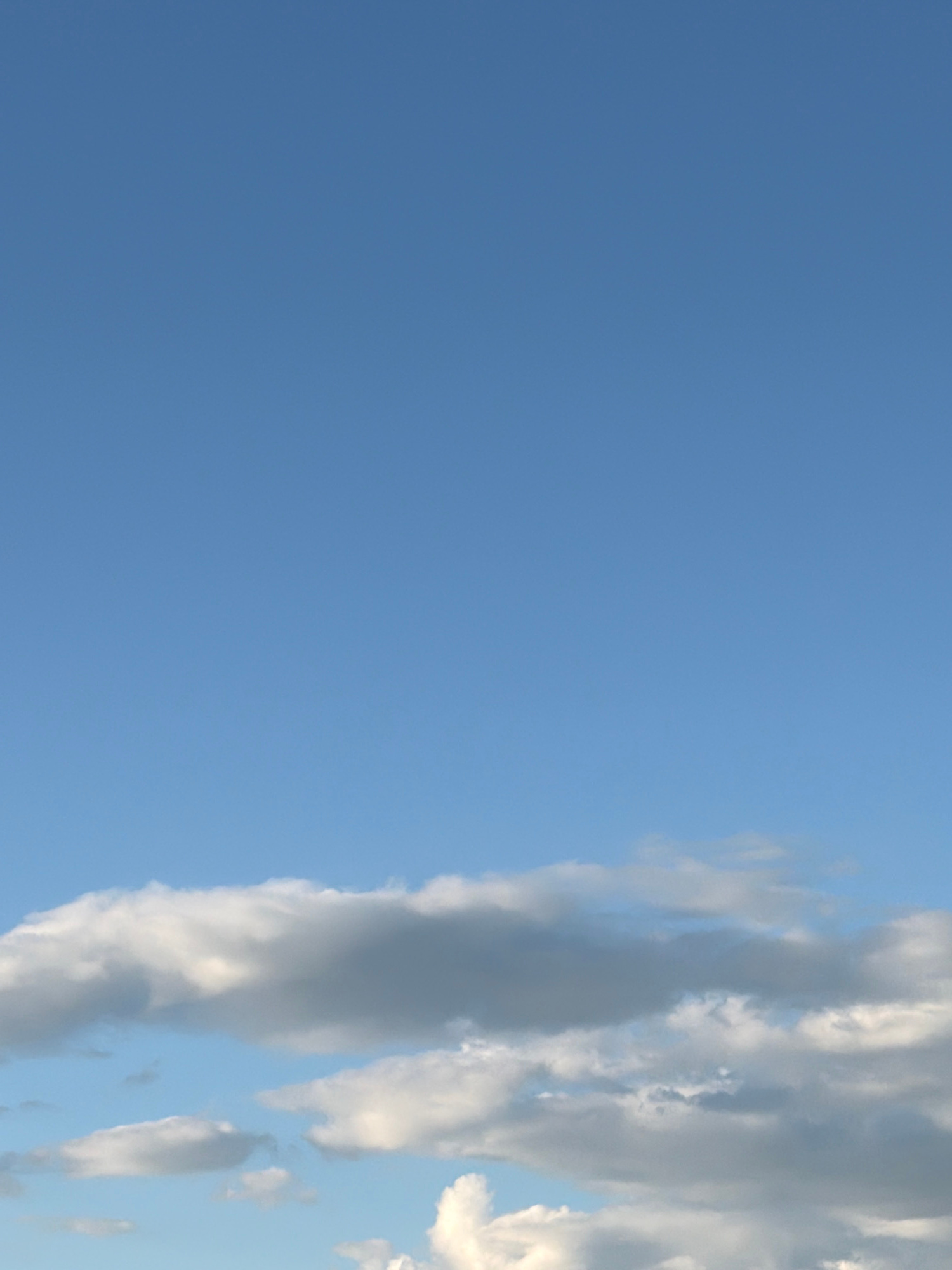The image captures a clear blue sky with scattered clouds, taken from Riverhead, United States of America. The sky occupies the majority of the frame, with a band of clouds situated near the bottom. These clouds vary in color from bright white to gray, indicating different densities and possibly the play of sunlight. The clouds appear fluffy and rounded, typical of cumulus clouds. The scene is devoid of any man-made structures or people, focusing solely on the natural elements of the sky and clouds.