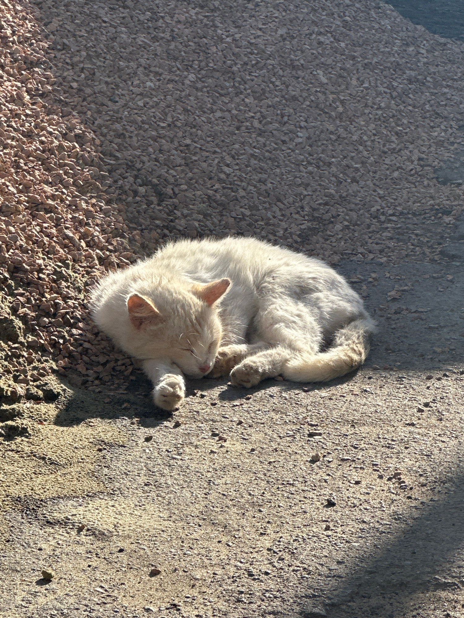 A white cat is sleeping curled up on a gravelly ground next to a pile of loose aggregate. The cat is facing left with its eyes closed and paws tucked under its body. The sun is shining on the cat, casting a shadow on the ground to the right. The environment appears to be outdoors, possibly in an industrial or construction area, given the presence of aggregate and gravel. The lighting suggests it is daytime. No specific landmarks or identifying features of Tobyl, Kazakhstan are visible in the image.