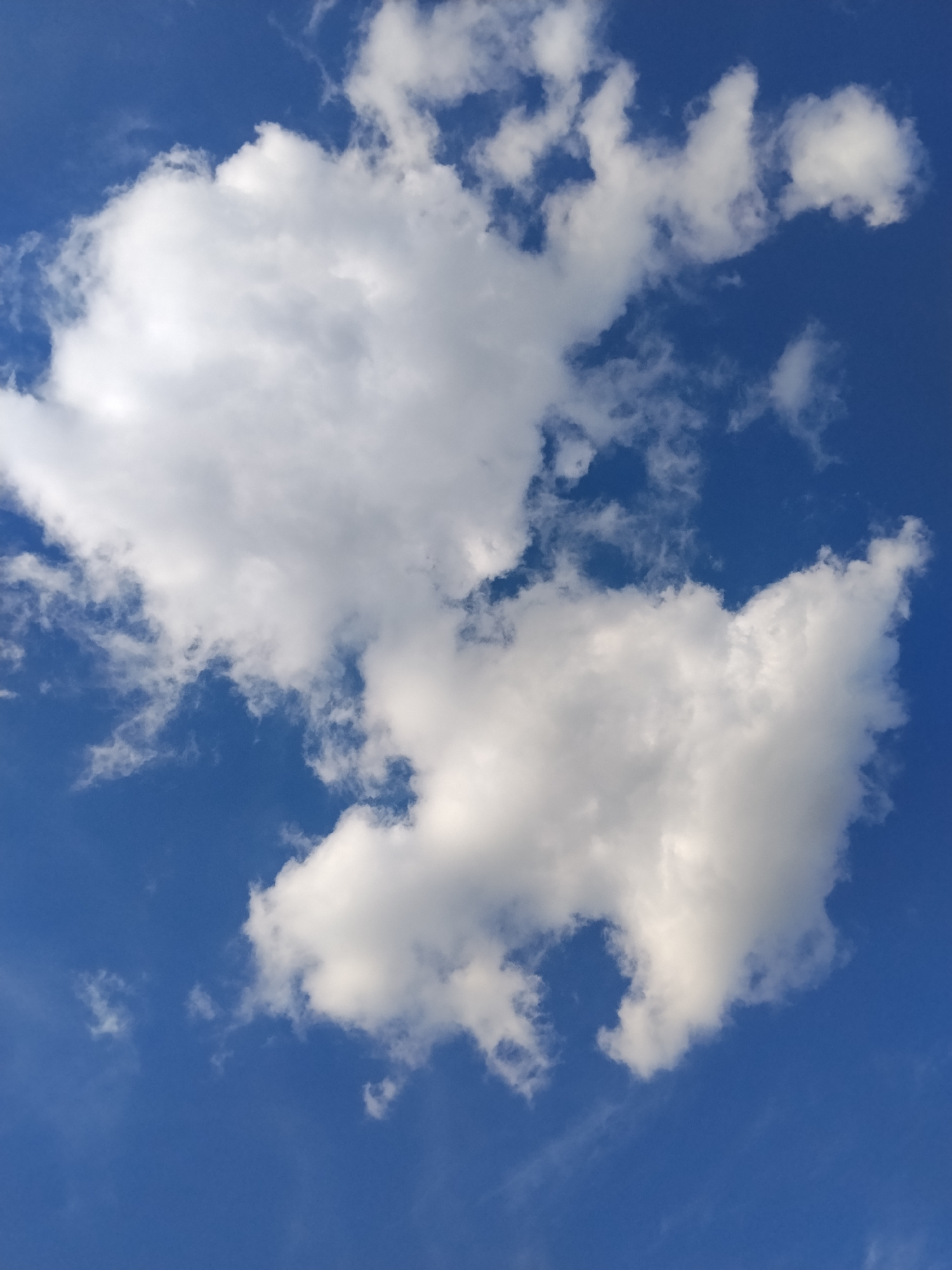The image captures a bright blue sky filled with fluffy white clouds. The clouds are varied in size and shape, with some appearing dense and rounded, while others are wispy and spread out. The sunlight illuminates the clouds, giving them a luminous quality and creating shadows that add depth and dimension to their forms. The overall impression is one of a clear and pleasant day, likely daytime due to the bright sky and well-lit clouds. There are no visible people or objects in the frame, with the focus solely on the natural beauty of the sky and clouds. The image evokes a sense of peace and tranquility, characteristic of a calm day. There is no visible text in the image.