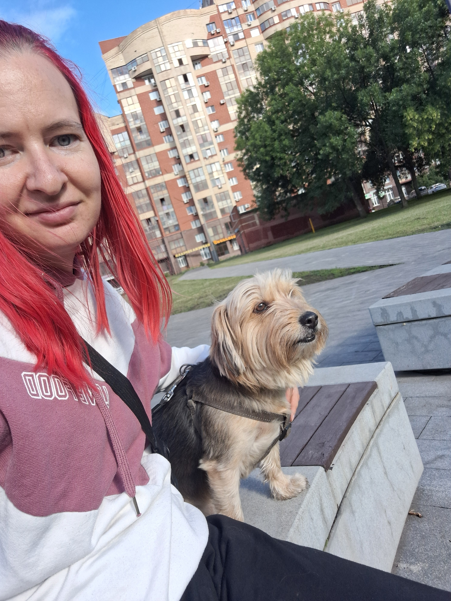 In Ufa, Russia, on a sunny day, a woman with vibrant red hair is captured in a selfie-style photograph, sitting on a concrete bench outdoors. She is wearing a two-toned hooded sweatshirt, predominantly white with a pinkish-purple section. Beside her, also seated on the bench, is a small, scruffy dog with tan and dark fur, wearing a dark harness. The dog is looking attentively to the right of the frame.
The background features a modern, multi-story brick apartment building with numerous windows, interspersed with lush green trees. The ground is paved with grey concrete tiles. The overall scene suggests a casual outing in an urban park or residential area.