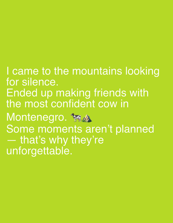 The image is a plain, lime green background with white text. The text reads: "I came to the mountains looking for silence. Ended up making friends with the most confident cow in Montenegro. Some moments aren't planned - that's why they're unforgettable." There is a small emoji of a cow and a mountain next to the word "Montenegro." The image does not depict any specific city or location in Mantov, Czechia.