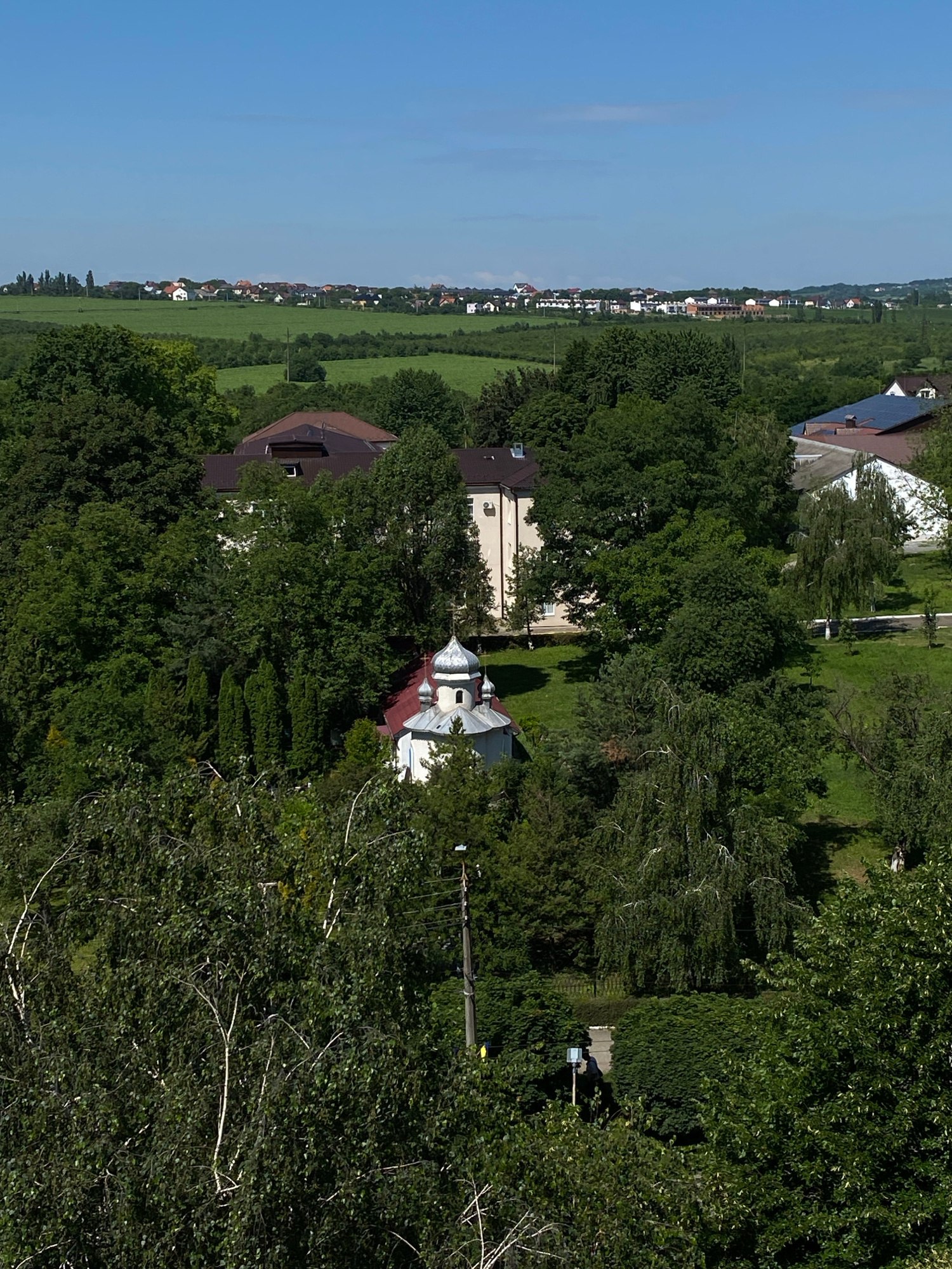 A high-angle, full-shot image captures a rural landscape on a clear day, featuring a village nestled amidst rolling green fields and dense trees. In the foreground, lush green foliage dominates, with a prominent birch tree in the lower left quadrant showcasing its distinctive white bark. To the right of the birch, a telephone pole stands tall, its wires crisscrossing the frame.
Behind the immediate greenery, a small, white church with a silver dome and a red roof is visible, partially obscured by trees. Adjacent to the church, a modern building with a white facade and a brown roof stands out. Further in the midground, more trees and manicured lawns surround other structures.
The background reveals a sprawling village with numerous houses, characterized by their varied roof colors, predominantly red and brown, and white walls. These houses are spread across a verdant, undulating terrain. The sky above is a clear, bright blue. The scene suggests a peaceful, semi-rural setting, likely in a European country given the architectural style of the village and the church. No people are clearly discernible within the frame.