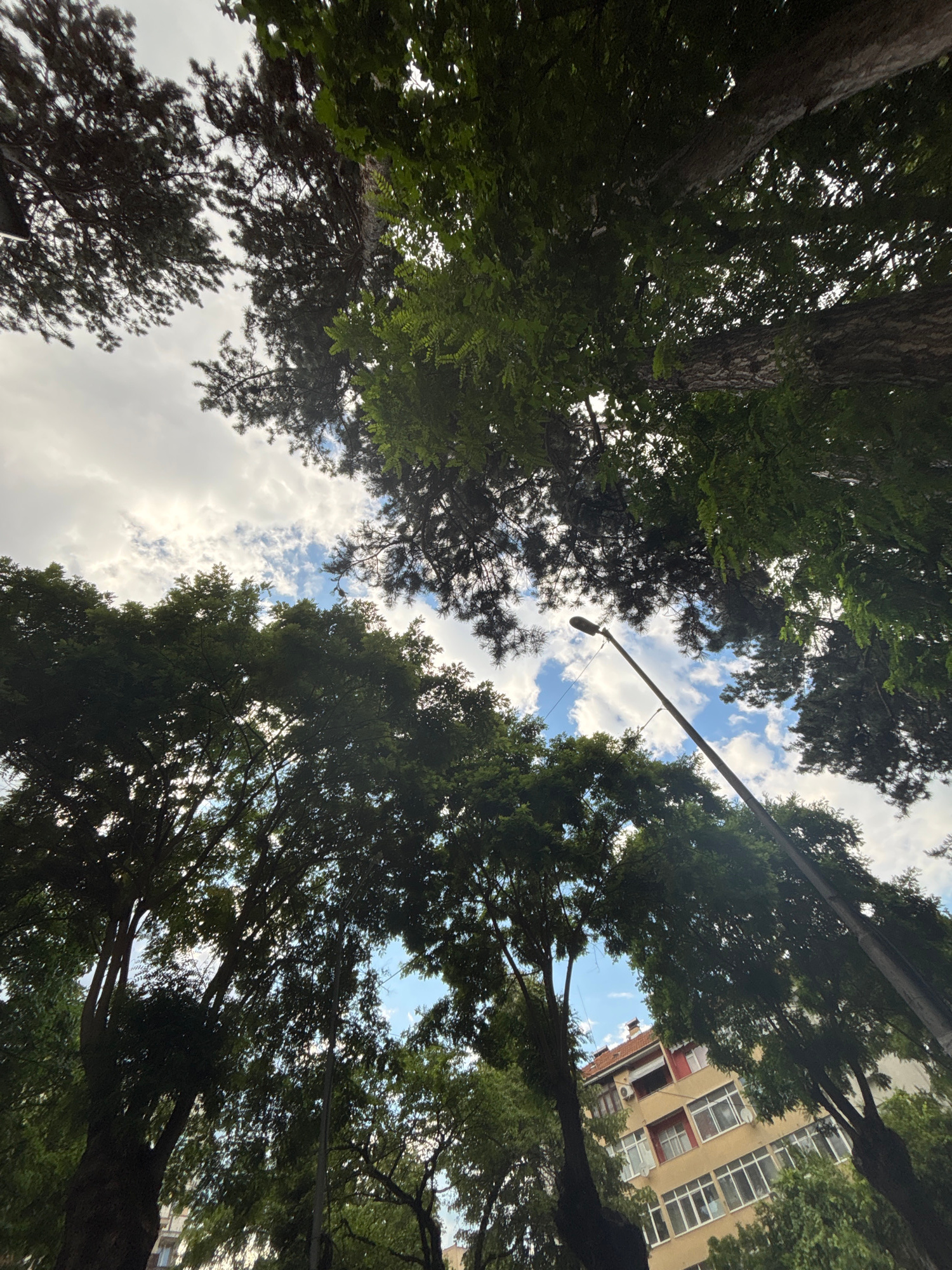 The image captures a low-angle perspective looking upwards through dense green foliage towards a partly cloudy sky. Several large trees with thick trunks and abundant leaves dominate the foreground and middle ground, creating a natural canopy. Through the gaps in the leaves, glimpses of the sky are visible, featuring a mix of white and gray clouds with patches of blue sky.
In the background, partially obscured by the trees, is a multi-story building. The building appears to be a residential apartment complex, with several windows visible and a light yellow facade. A red-tiled roof is also apparent. A street lamp on a tall pole is visible on the right side of the image, extending upwards through the trees. The overall impression is of an urban environment with significant tree cover, possibly a park or a tree-lined street in Gotse Delchev, Bulgaria. No people or specific actions are depicted. The scene is static and appears to be taken during daylight hours.