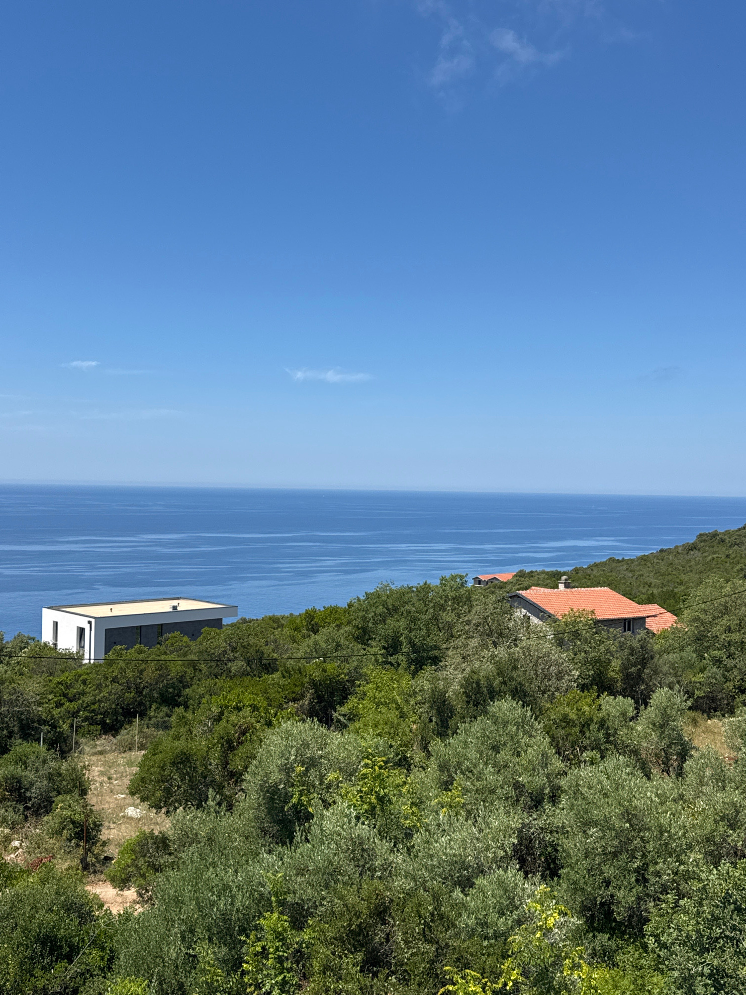This is an outdoor, eye-level, wide shot of the Adriatic Sea and a coastline from a hillside in Krimovice, Montenegro. The image is dominated by a clear, vibrant blue sky with a few wisps of clouds. The sea stretches across the middle ground, a deep, textured blue with a gentle horizon line. The coastline on the right is a lush, green expanse of dense trees and bushes, sloping down towards the sea. Two modern houses are visible nestled within the greenery. On the left, a white house with a flat, light-colored roof and dark gray accents stands out. To the right, a house with a traditional red-tiled roof peeks through the trees. The foreground consists of more dense vegetation, primarily olive trees with their characteristic silvery-green foliage. The overall impression is one of serene natural beauty and modern architecture integrated into the landscape.