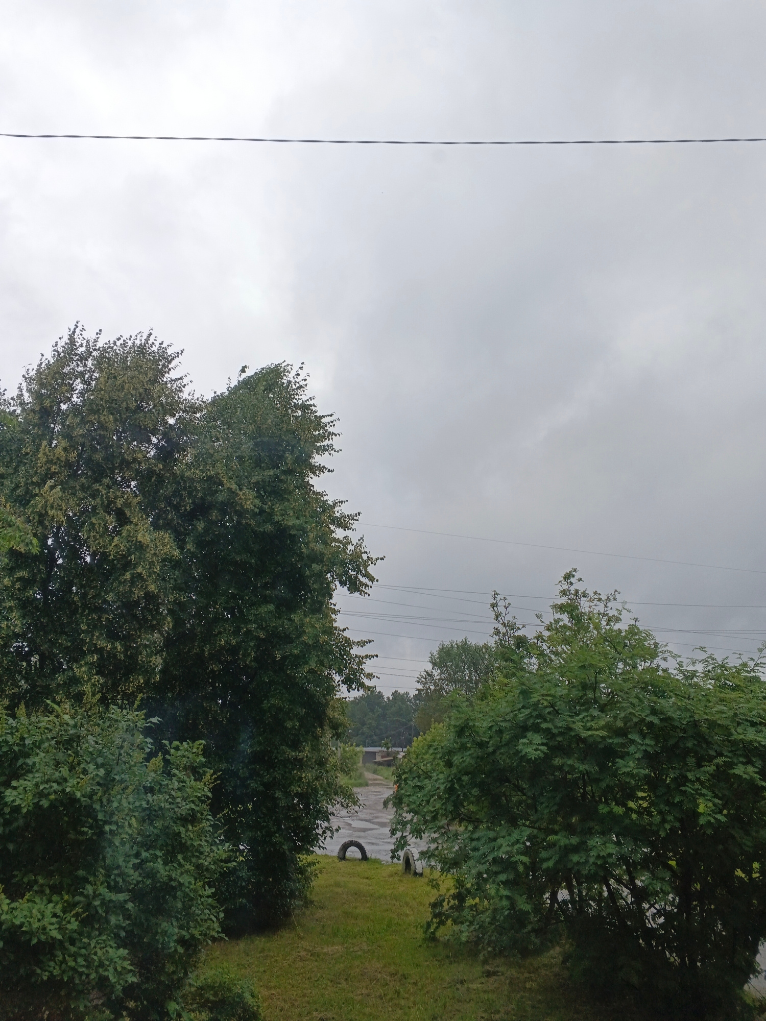 This media file captures an outdoor scene on an overcast day. The dominant subjects are lush green trees and bushes in the foreground, with a wider view of an open area behind them. In the background, a paved surface, possibly a road or parking lot, is visible, with a single tire lying on its side on the grass next to it. Utility lines are strung across the sky, suggesting the presence of infrastructure.
The weather appears to be cloudy and possibly damp, contributing to the muted lighting of the scene. The time of day is unclear due to the overcast conditions, but the overall mood is subdued and natural. There are no people or animals visible in the frame. The setting appears to be a semi-rural or industrial area, given the presence of the utility lines and the paved area with the tire. No text is discernible within the image.