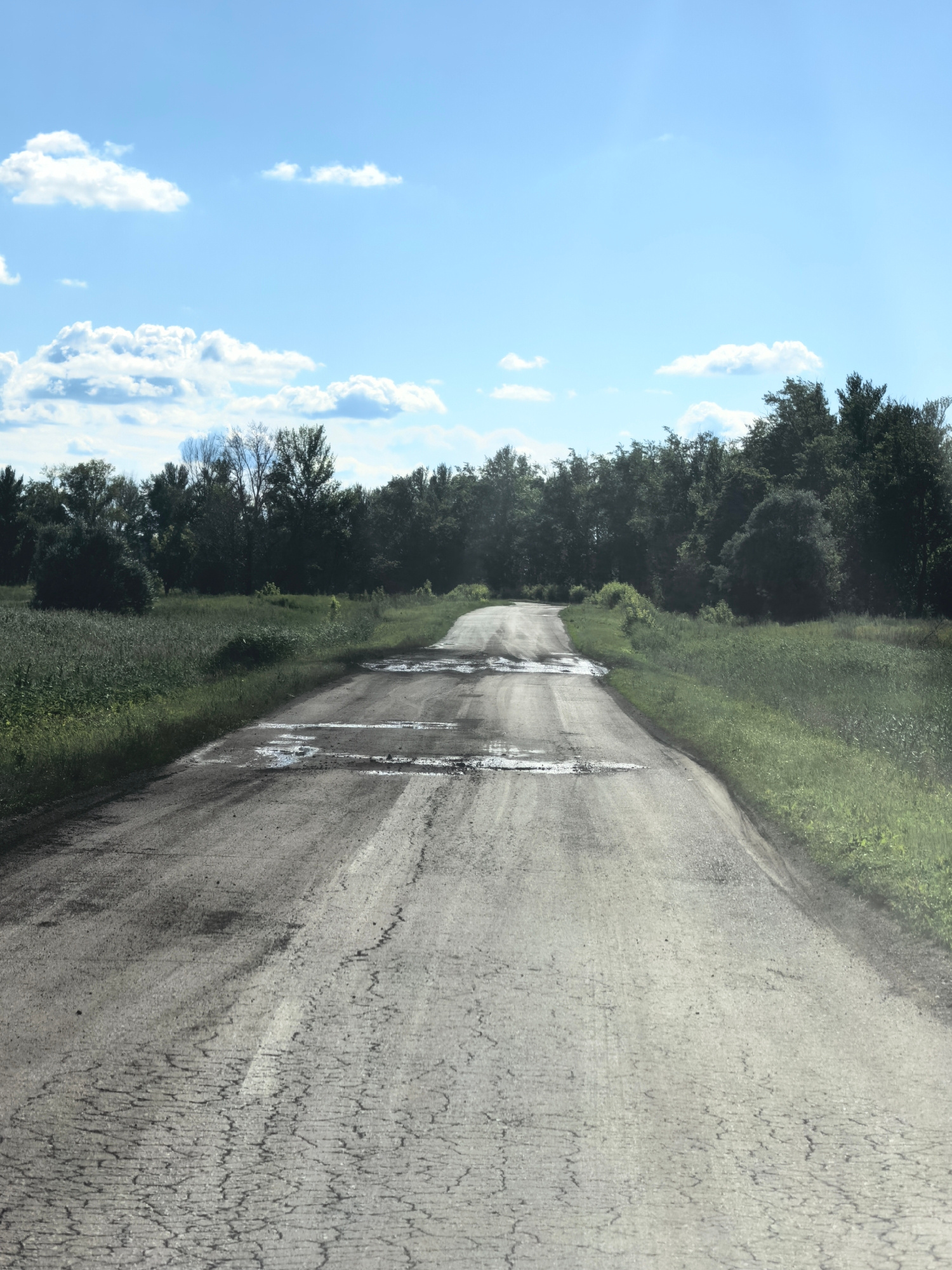 This media file depicts an outdoor scene of a rural dirt road in Vozrozhdeniye, Russia. The road is cracked and weathered, with several puddles of water collected on its surface. It appears to be a sunny day, as indicated by the bright blue sky with scattered white clouds.
The road is bordered on both sides by lush green grass and trees, suggesting a natural, uncultivated environment. A dense line of trees forms the backdrop, with some appearing to be deciduous and others coniferous. The lighting suggests it is daytime, likely late morning or early afternoon, given the brightness and the angle of the shadows, though the shadows are not clearly defined enough to determine precise time.
There are no people or man-made structures visible in the image, besides the road itself. The overall mood is one of tranquility and solitude, characteristic of a remote rural landscape. The condition of the road, with its cracks and puddles, might suggest that it is not heavily trafficked or that it has recently rained. The presence of water on the road could also be due to melting snow, though the green vegetation implies it is not winter. There is no visible text in the image.