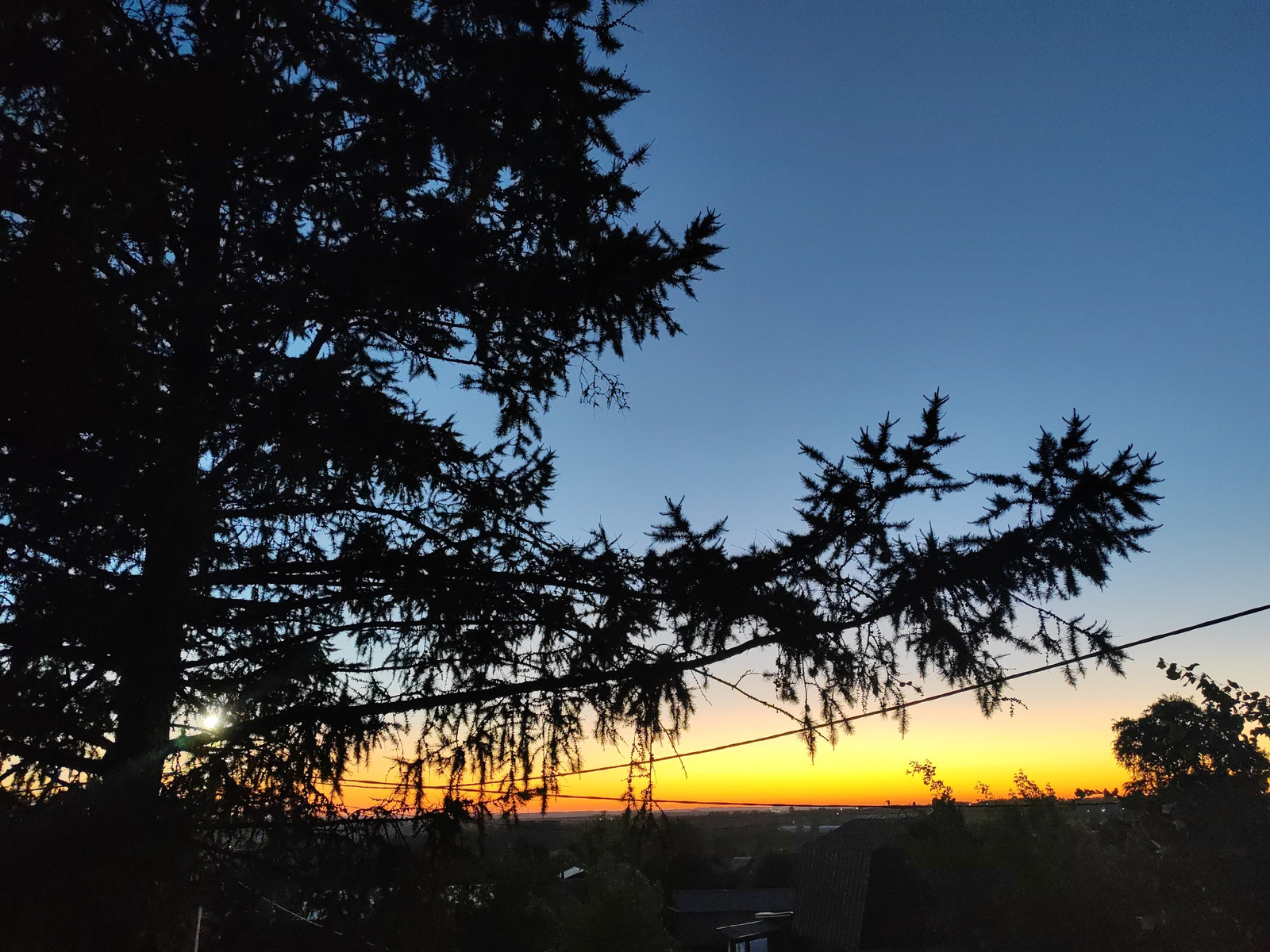 The image depicts a sunset viewed from a slightly elevated position, likely a balcony or window overlooking a suburban or semi-rural area. Silhouetted against the vibrant sky are the branches of several trees, predominantly a large conifer on the left, its dark foliage obscuring much of the view. The sky transitions from a deep blue at the top to a bright orange and yellow band just above the horizon, indicating the setting sun. Below the sky, a dark silhouette of houses and vegetation forms the foreground and middle ground. Power lines are visible stretching horizontally across the scene. The overall impression is one of a peaceful evening in a residential area. Without specific landmarks, it is impossible to pinpoint the exact location within Kemerovo, Russia.