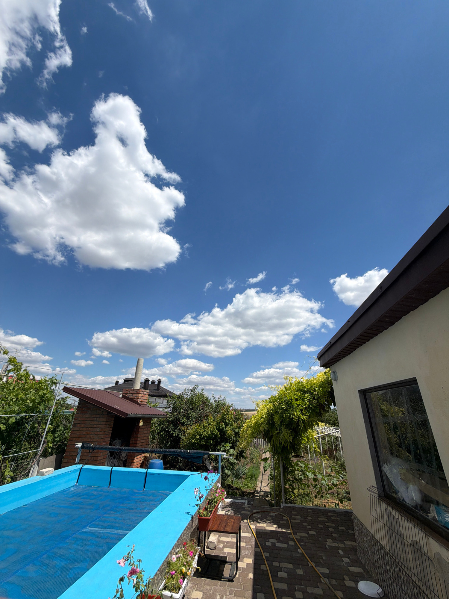 The image shows a view of a backyard on a sunny day. In the foreground, a bright blue swimming pool is covered with a blue solar blanket. Potted flowers line the edge of the pool. To the right, the corner of a building with a brown roof and a large window is visible. A lush green vine arches over a pathway made of brick pavers, which is partially covered by a yellow hose. In the background, a brick structure with a chimney and several other buildings can be seen amidst dense green foliage. The sky above is a clear blue with scattered white clouds. The location is described as Unknown, Unknown. There are no people or animals visible in the image.