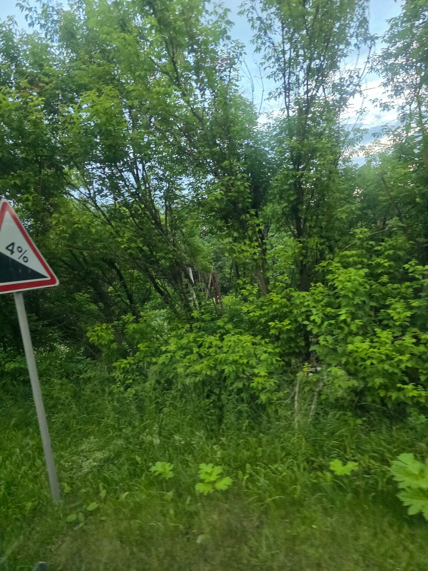 The image shows a triangular road sign with a red border and a white background. The sign has a black diagonal line and the text "4%" in black. The sign is attached to a grey pole. The background is filled with lush green trees and foliage. The sky is visible through the leaves, with some clouds present. The ground is covered with green grass. The overall scene depicts a roadside in a natural environment.