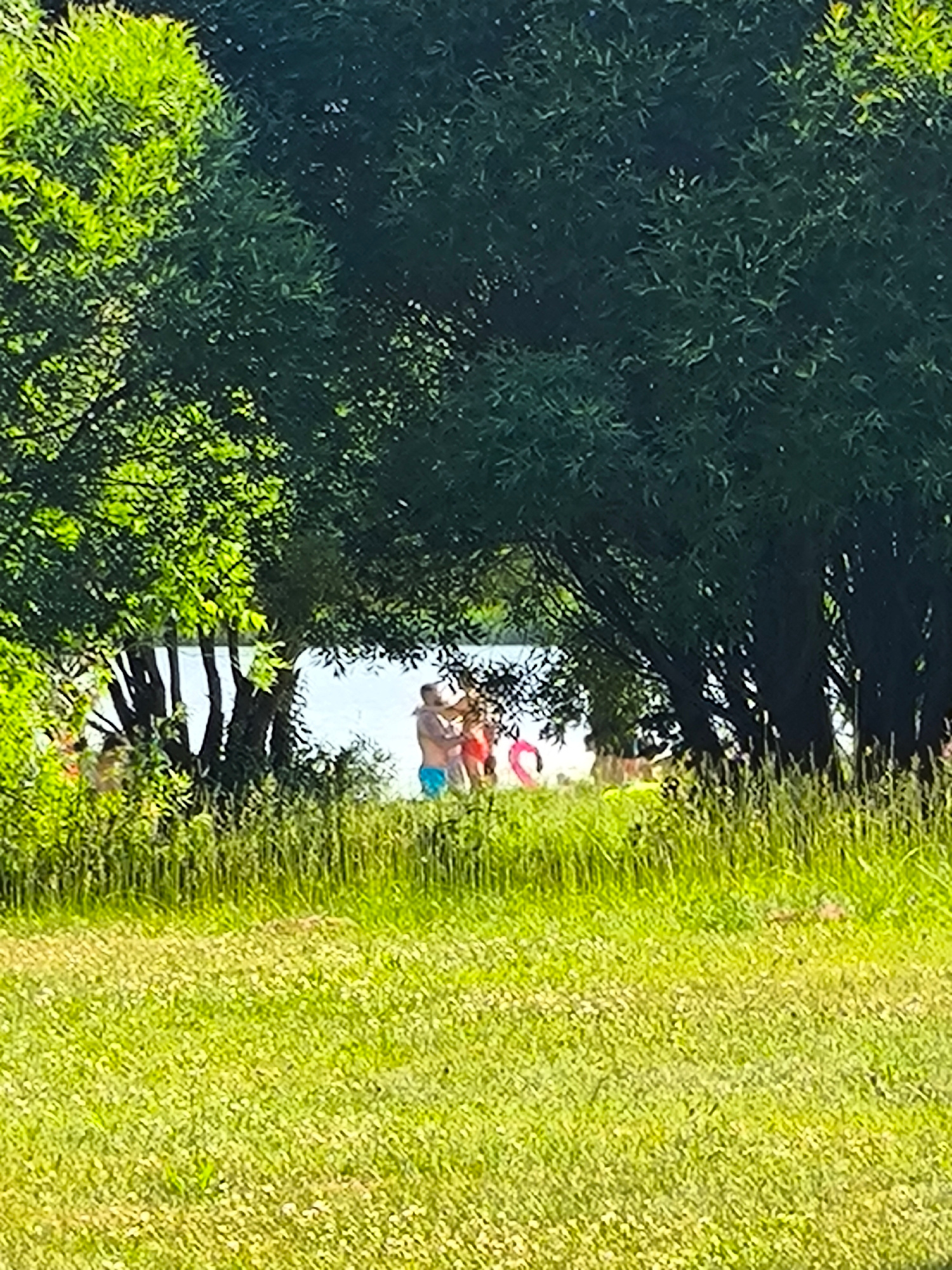 In Taldom, Russia, this image captures a sunny day by a body of water, likely a river or lake, as indicated by the presence of reeds and a distant shoreline. Lush green trees with dense foliage dominate the foreground and midground, creating a shaded area. In the distance, partially obscured by the trees and reeds, a few individuals are visible. One man wearing blue swim trunks and a person in a pink outfit are in close proximity, suggesting interaction. Other figures are further back on the shore. The water appears calm and reflects the bright sky. The foreground consists of a bright green, well-maintained grassy area.